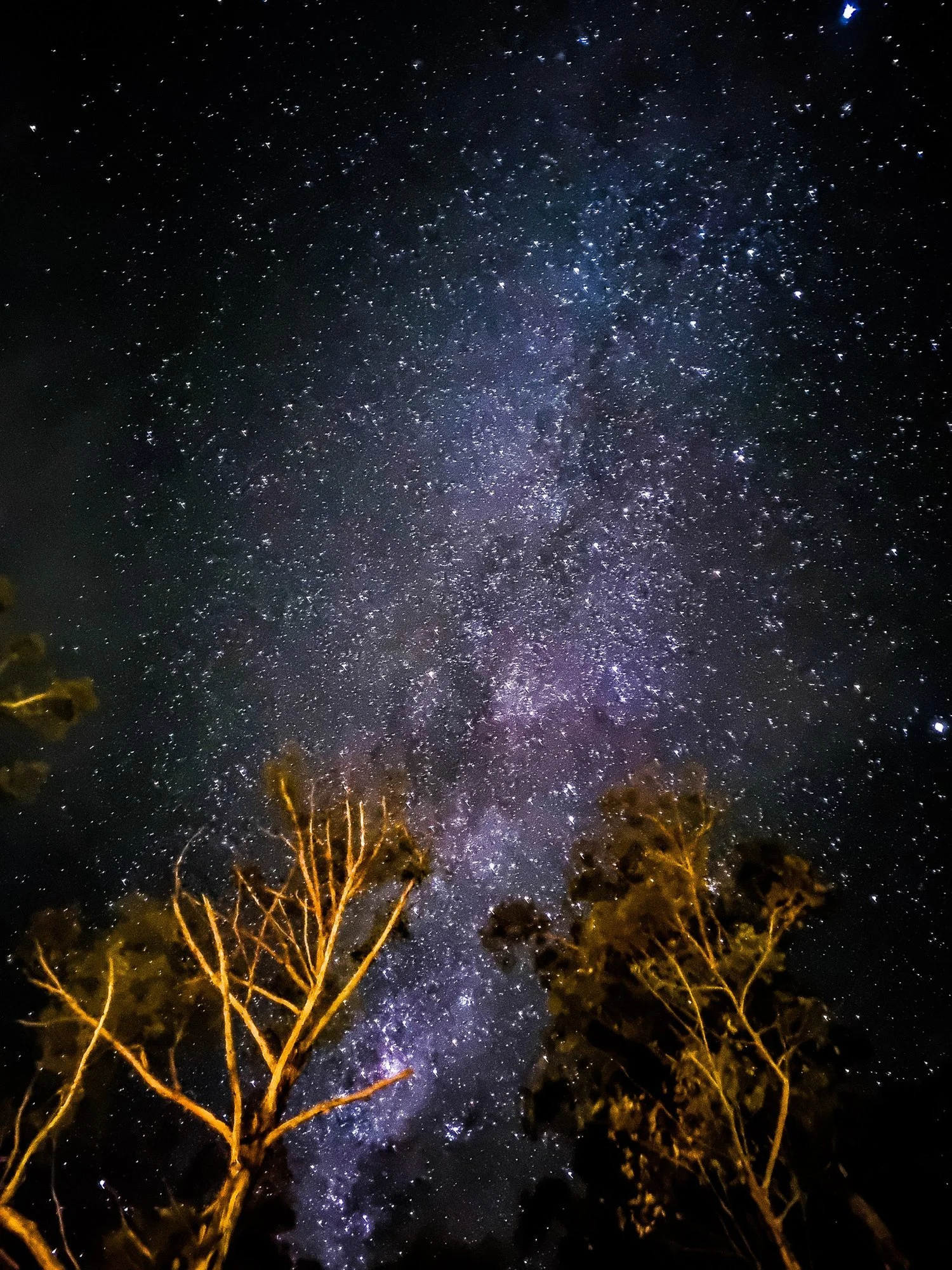 Under the stars: Stories of culture, community and ecology