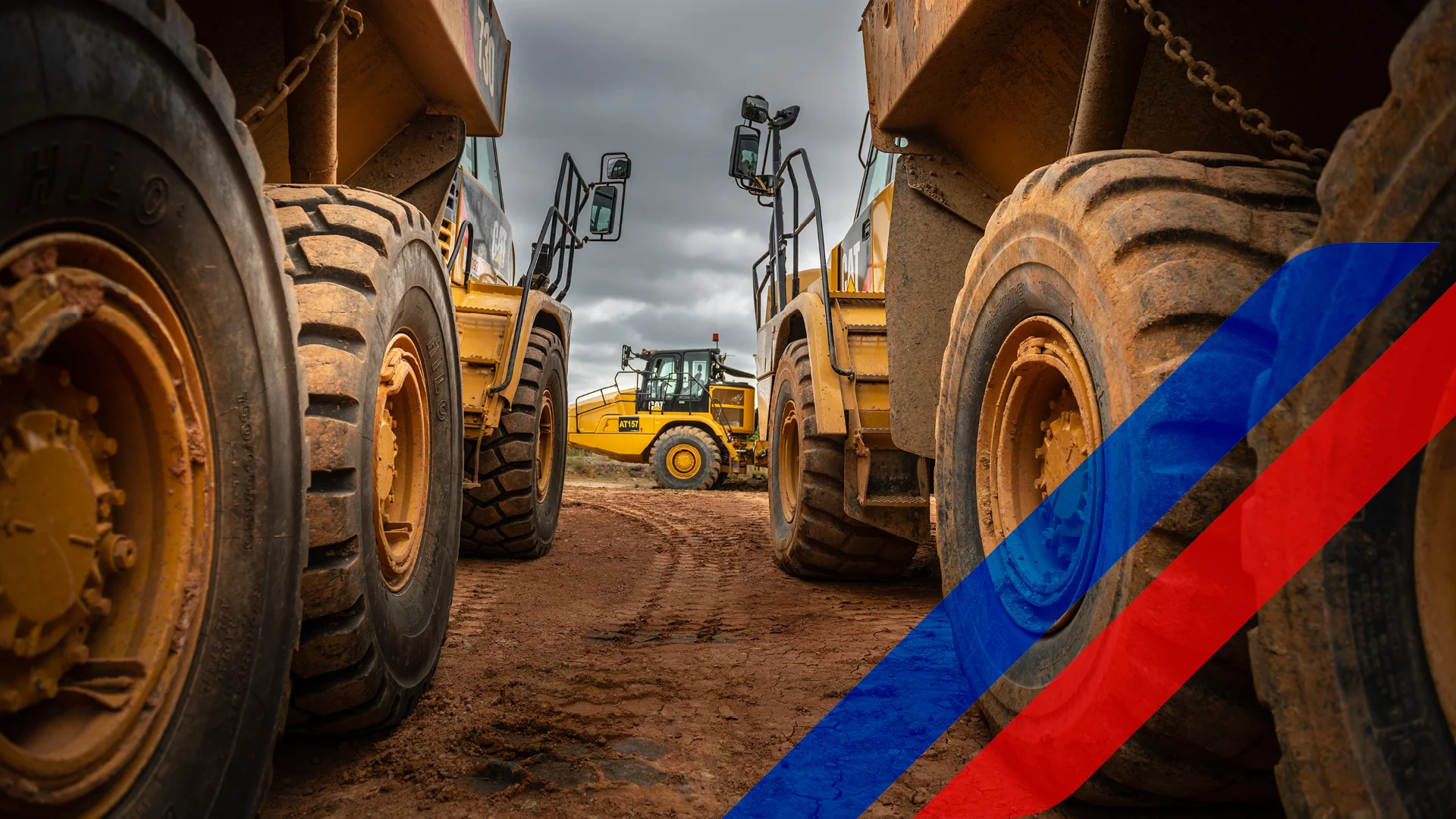 CBN0013 Website Assets.jpg