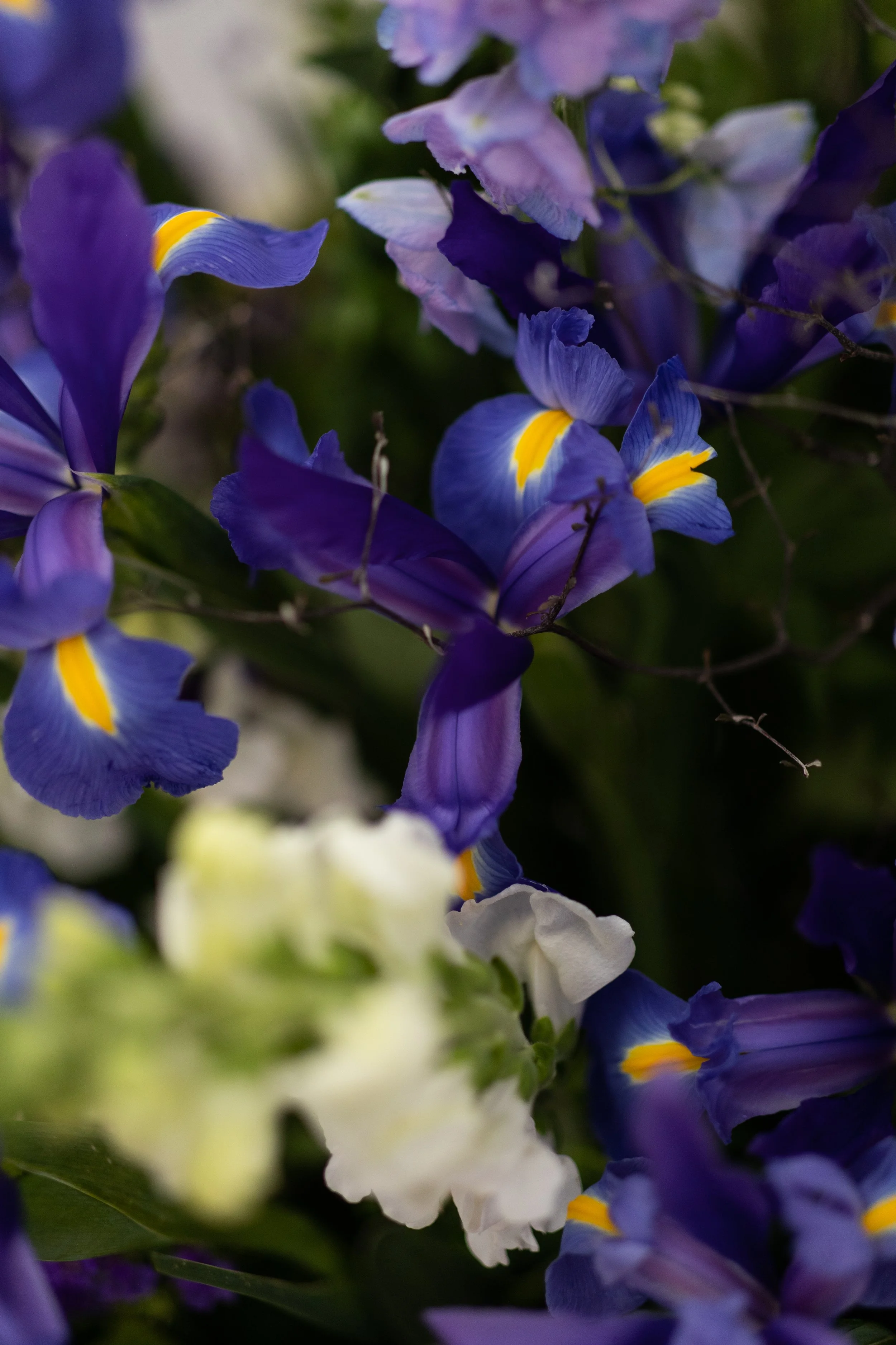 20220905_Vicki Whiteman 70_s Birthday_Black Chameleon_DS OFICINA_High Res-2155.jpg