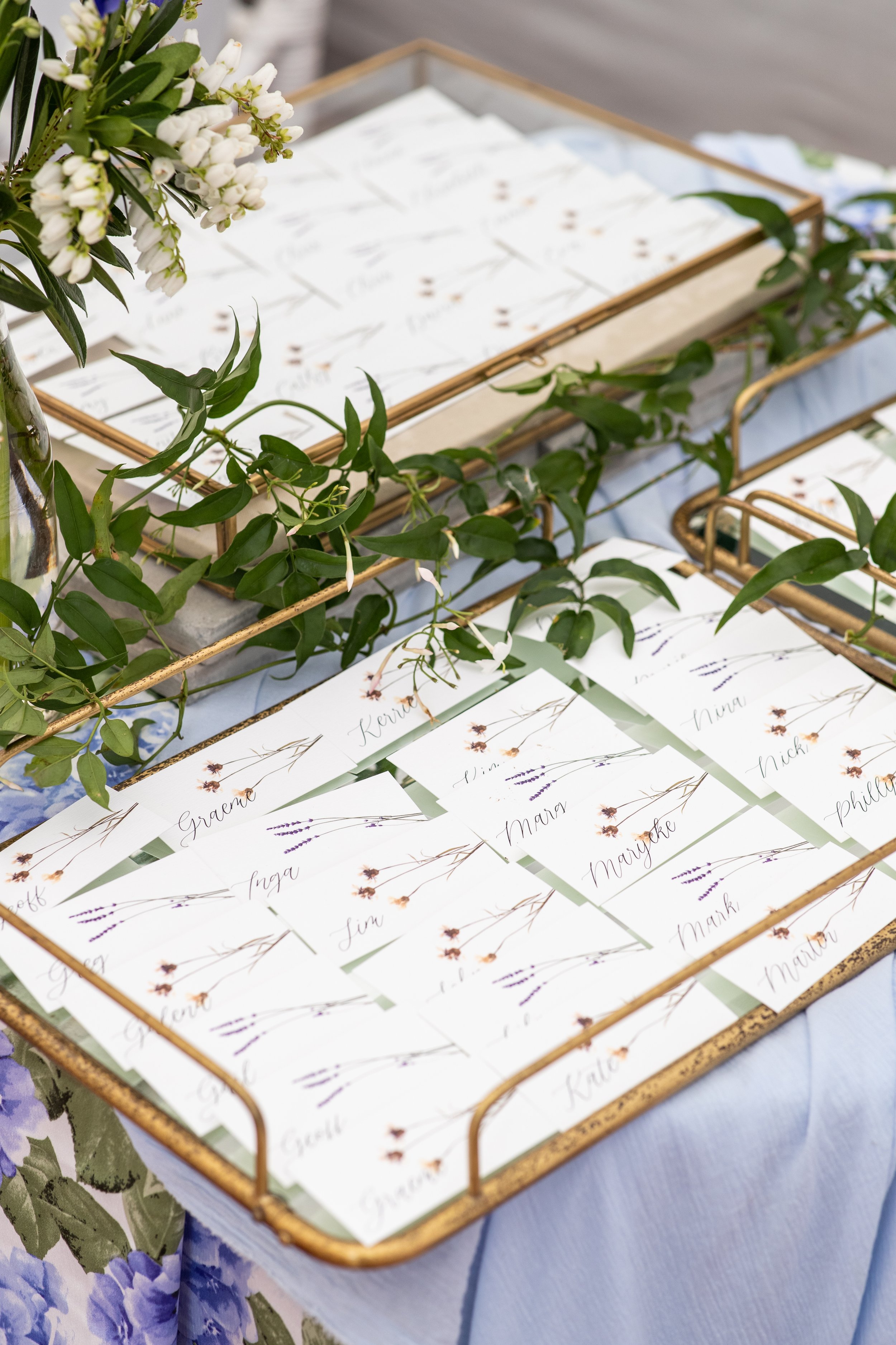 20220905_Vicki Whiteman 70_s Birthday_Black Chameleon_DS OFICINA_High Res-2161.jpg