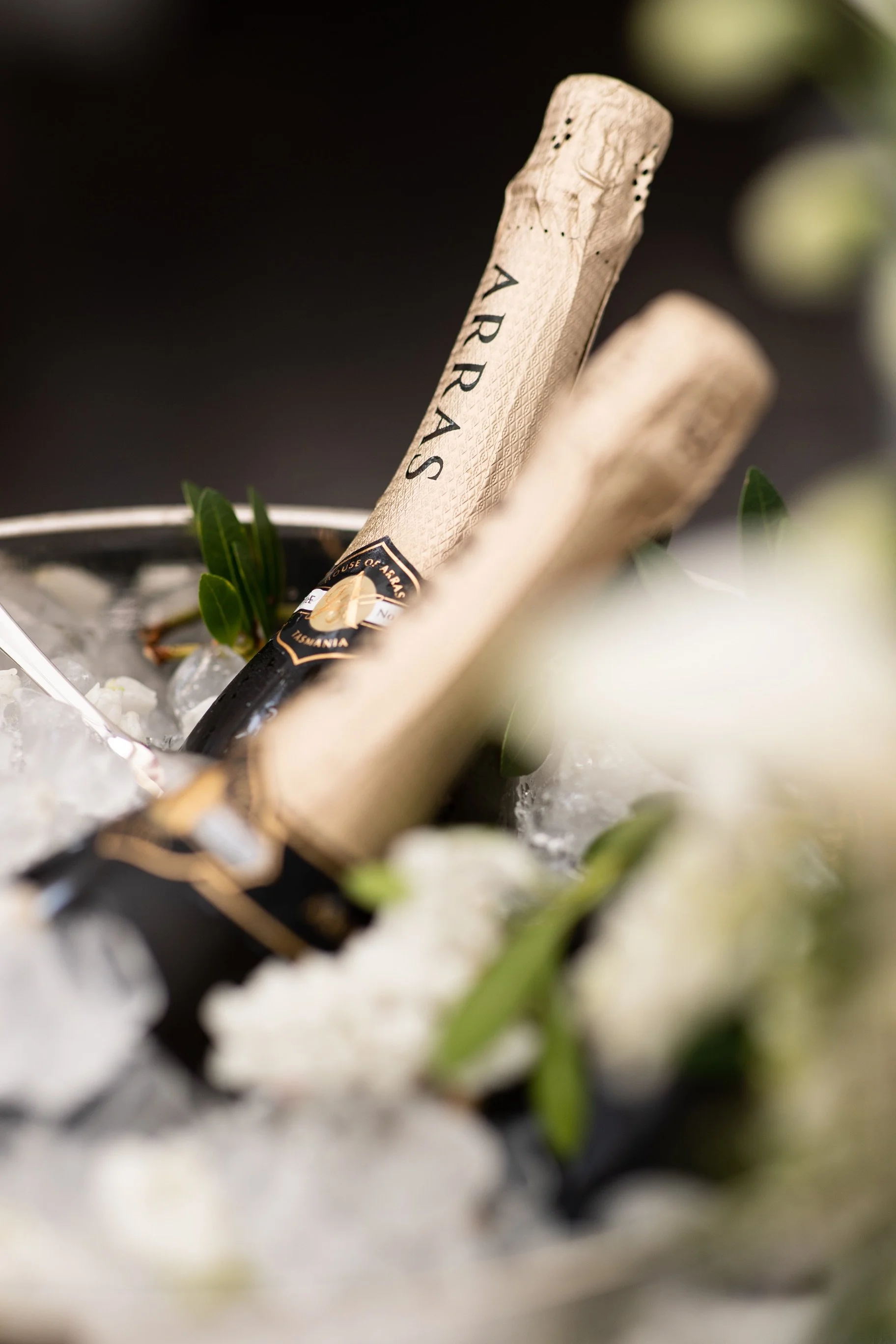 20220905_Vicki Whiteman 70's Birthday_Black Chameleon_DS OFICINA_High Res-2315.jpg