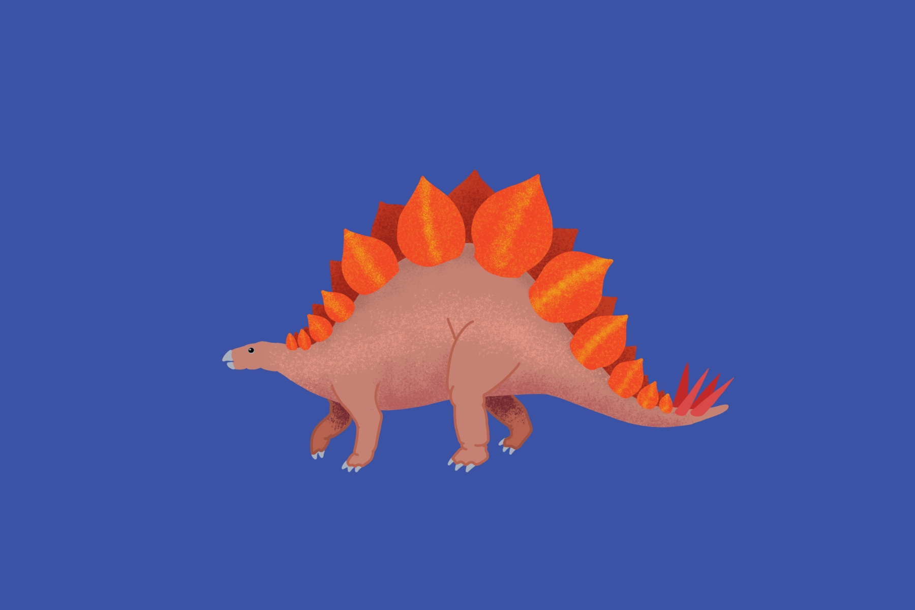 stego.jpg