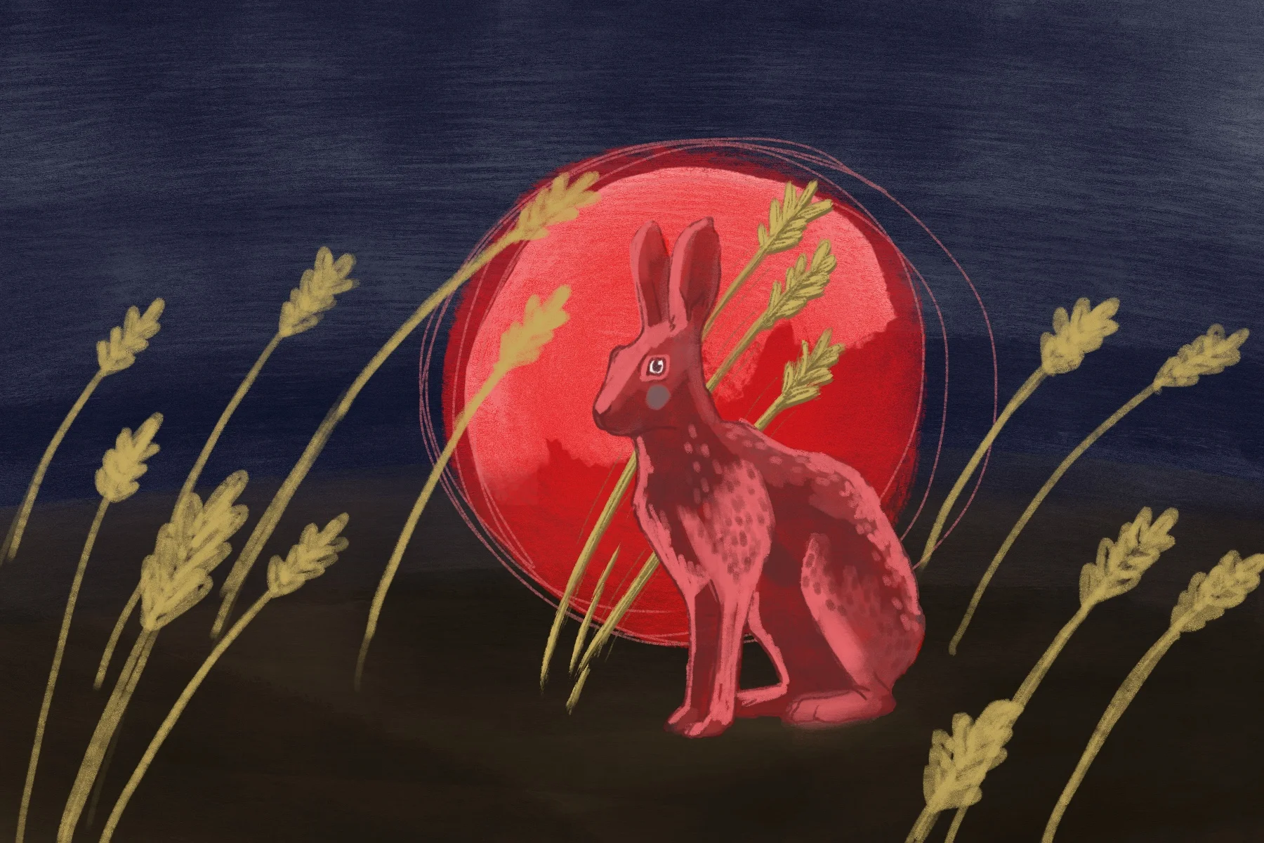 web.rabbit2.jpg