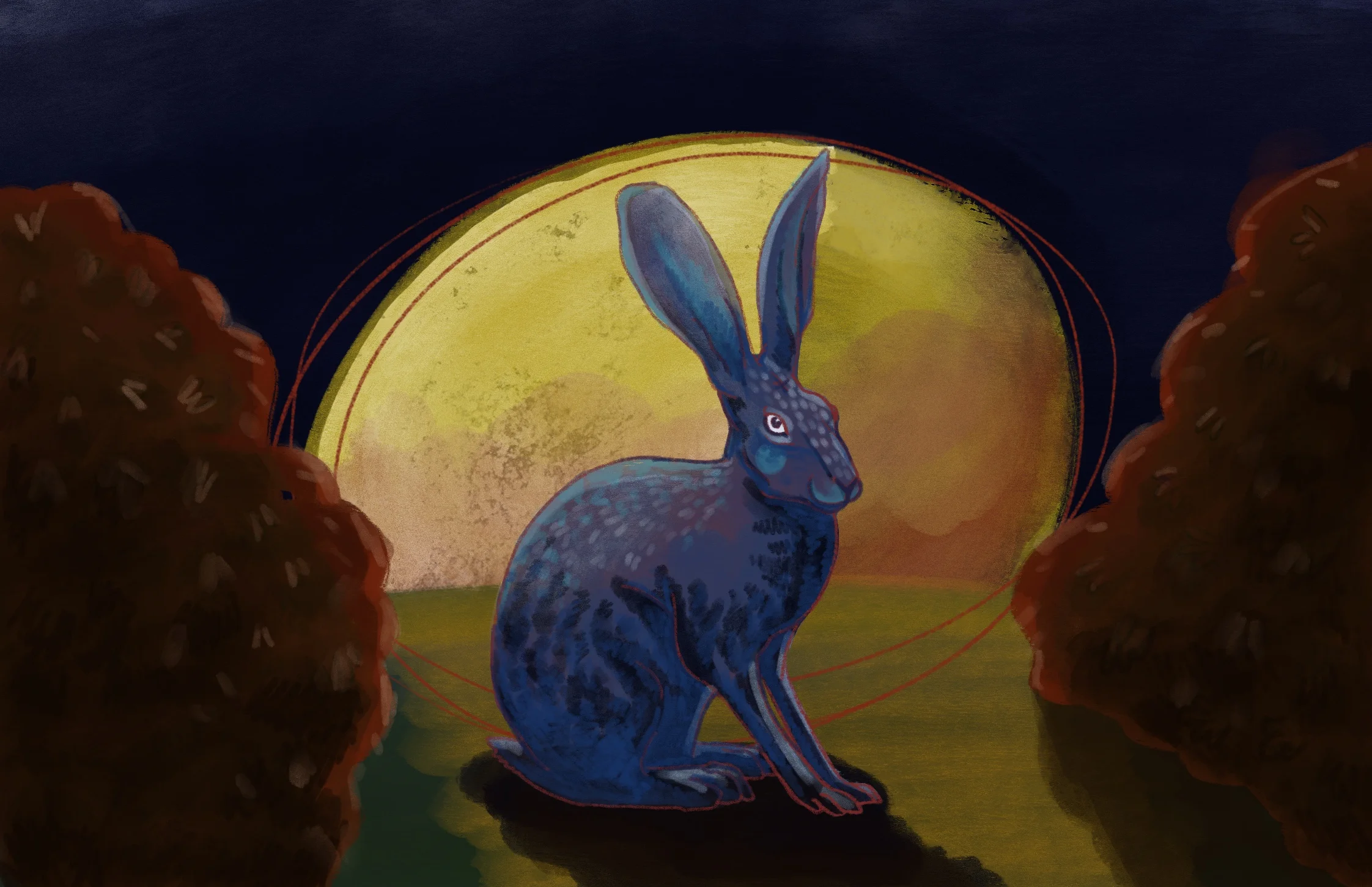 web.rabbit.1.jpg