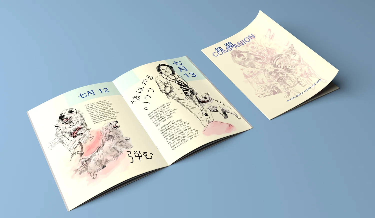 Download Companion Zine Sydney B Design