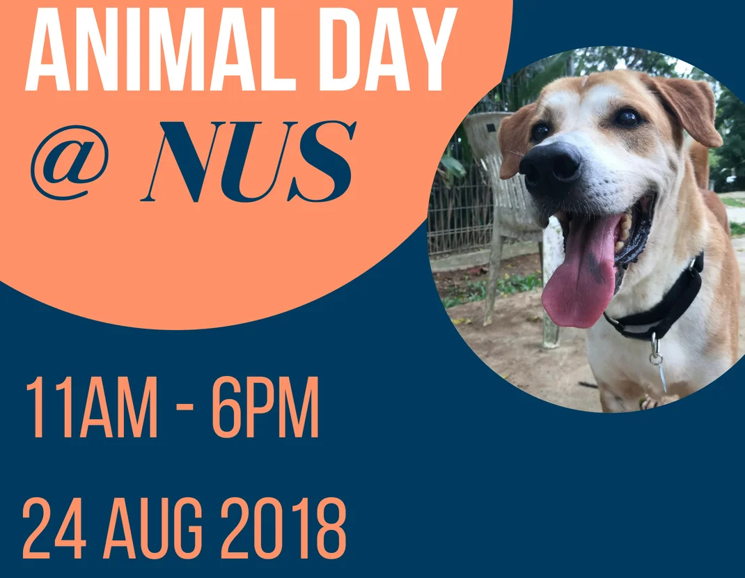 Animal Day @ NUS
