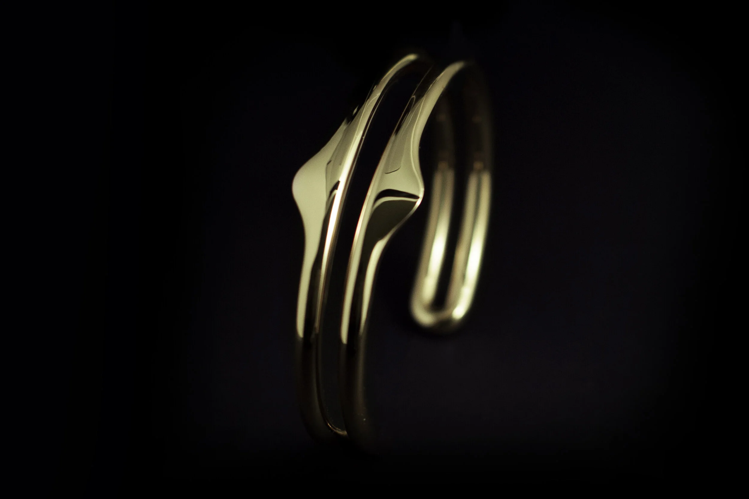 MANTA_echo_gold-C.jpg