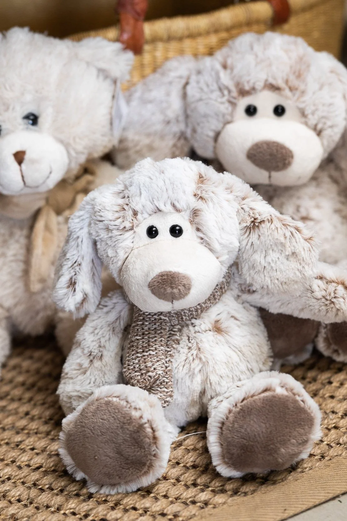 Buy flowers & gifts online Delivery to Canberra, Queanbeyan