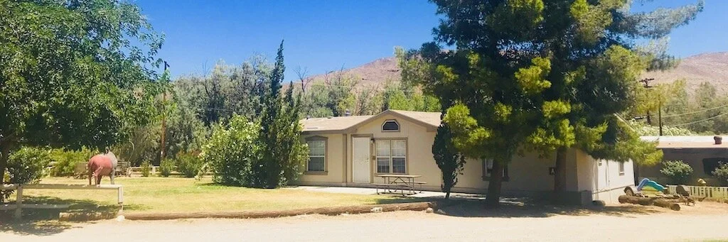 live with us_banner.jpeg