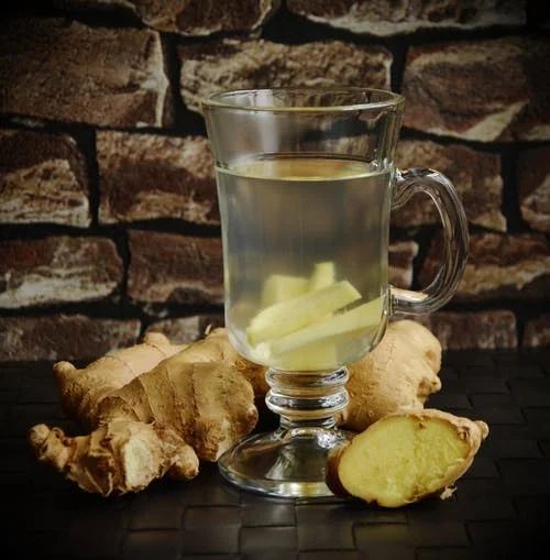 Zingiber officinale&nbsp;&nbsp;(Ginger)