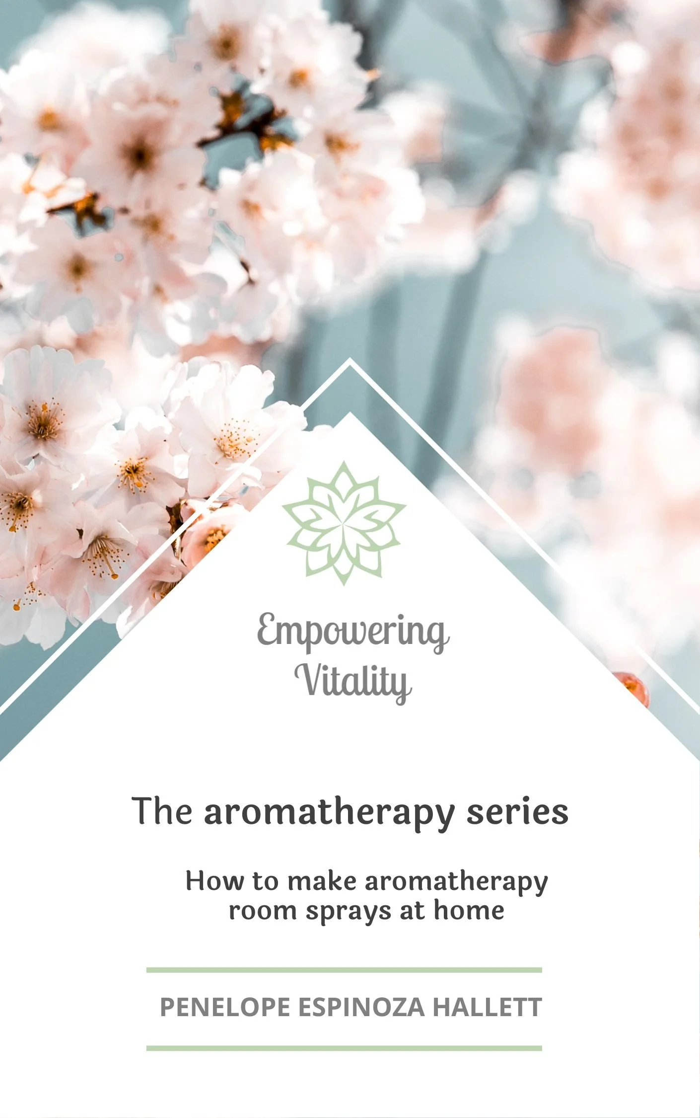 Aromatherapy room spray eBook cover Draft 11 2 November 2023.jpg