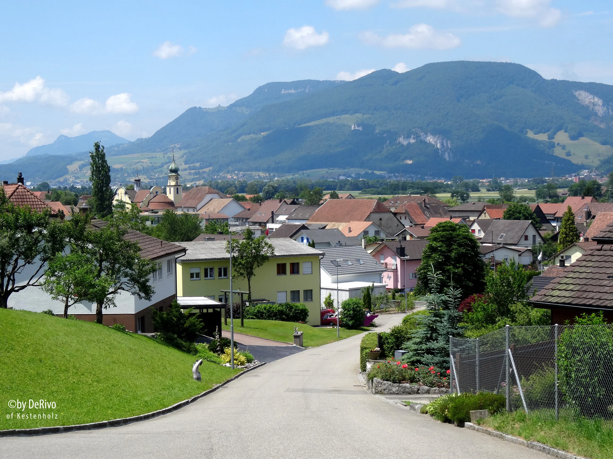 Kestenholz_in_Solothun_blick2.jpg