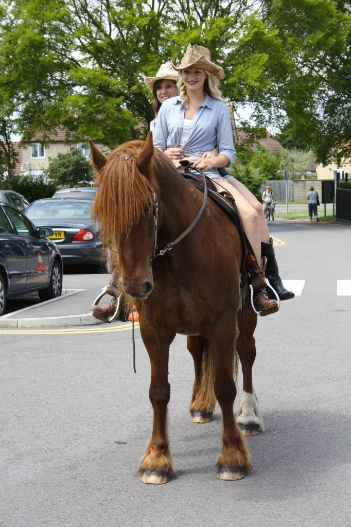 Festival Of Transport 2011 102.jpg