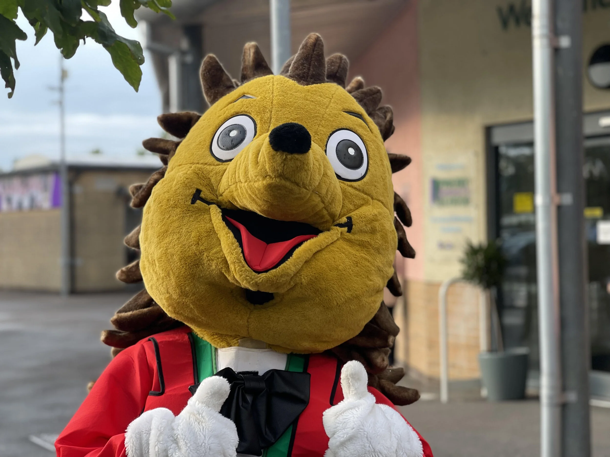 New: Popular academy sees biggest numbers of prospective pupils, parents and carers in 20 years attend Open Evening