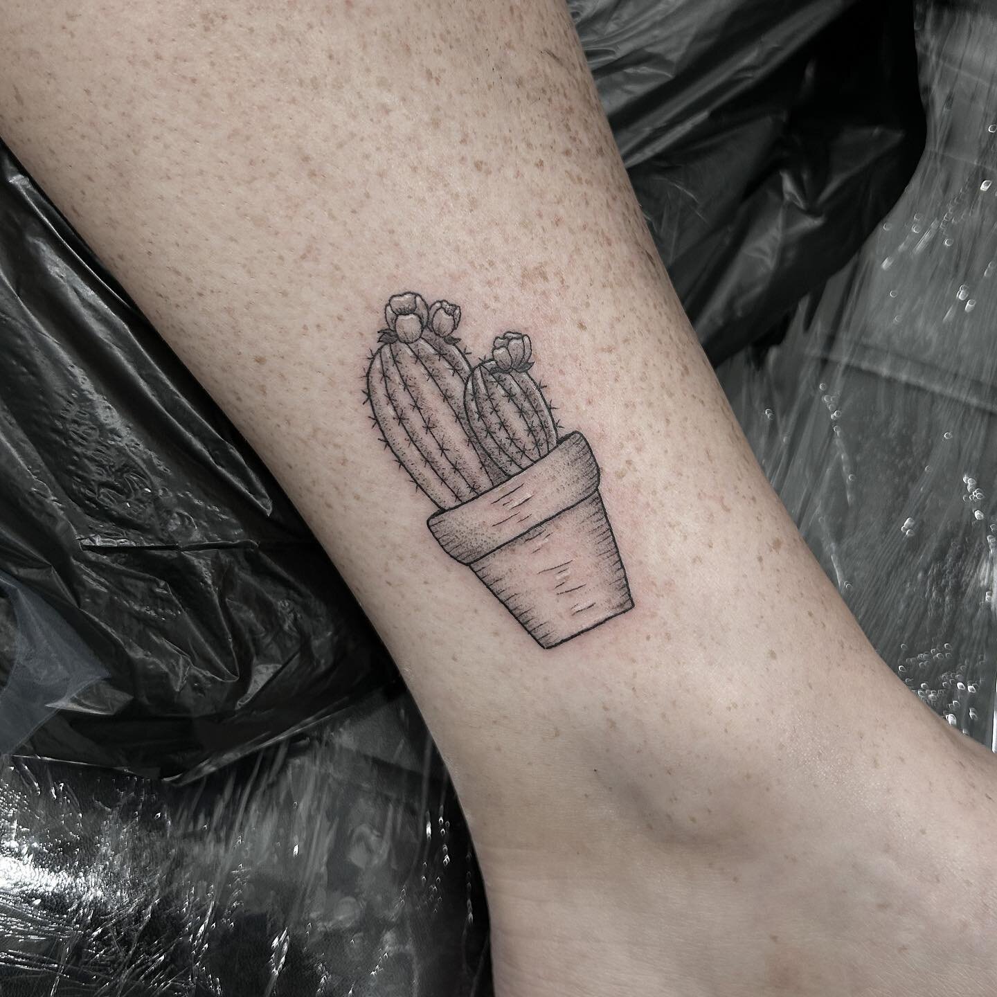 Cute little cactus 🌵
-
#fineline #tattoo #tattooing #finelinetattoo #cactus #cactustattoo