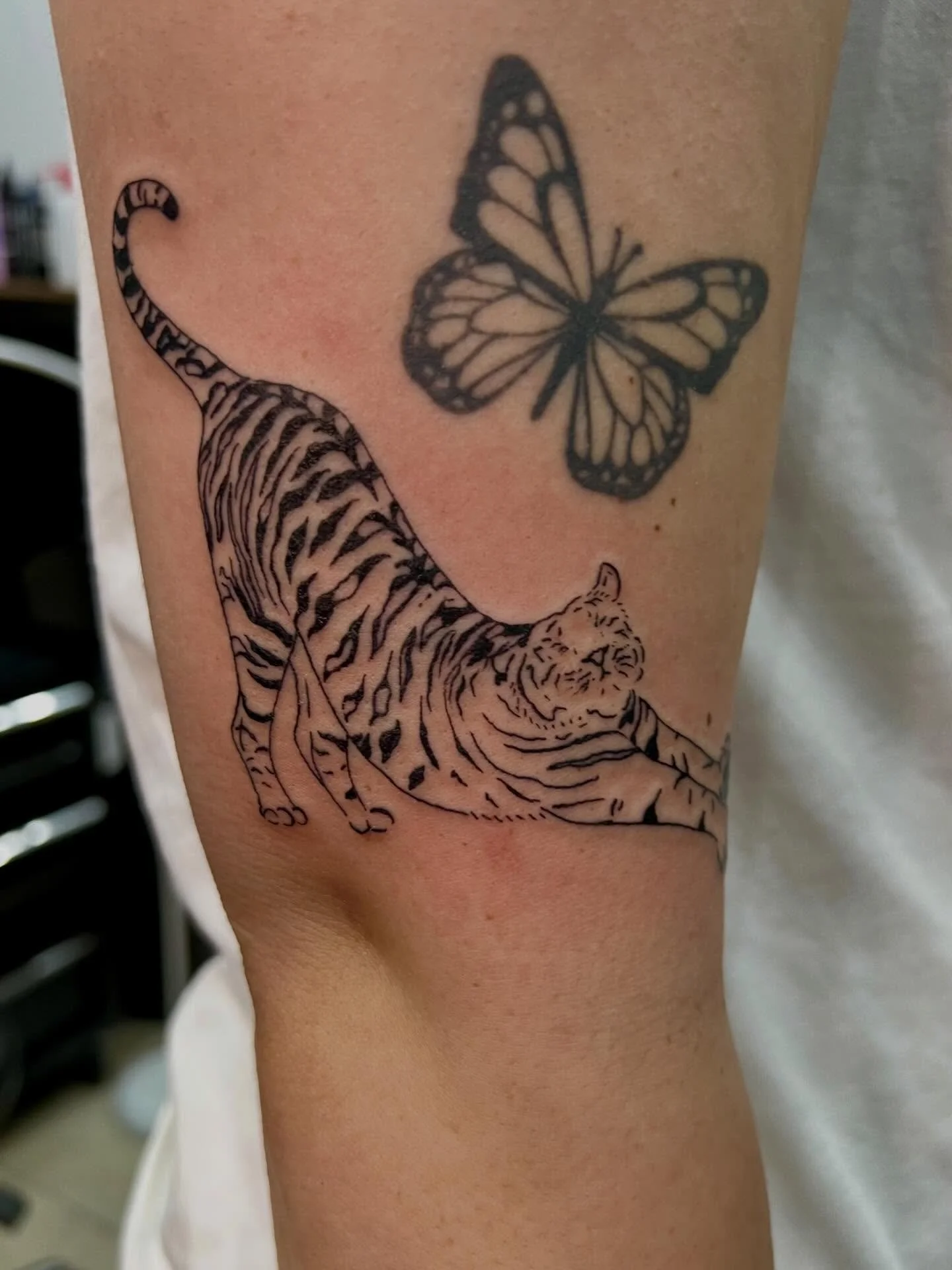 The cat is literally out of the bag! Always so much fun to tattoo my own designs but to have one suit someone so well is another thing! 

PS. Giveaway is drawn this Sunday - have you entered?

By: @lilacjac.tattoos 
At: @squiresink 

*butterfly not b