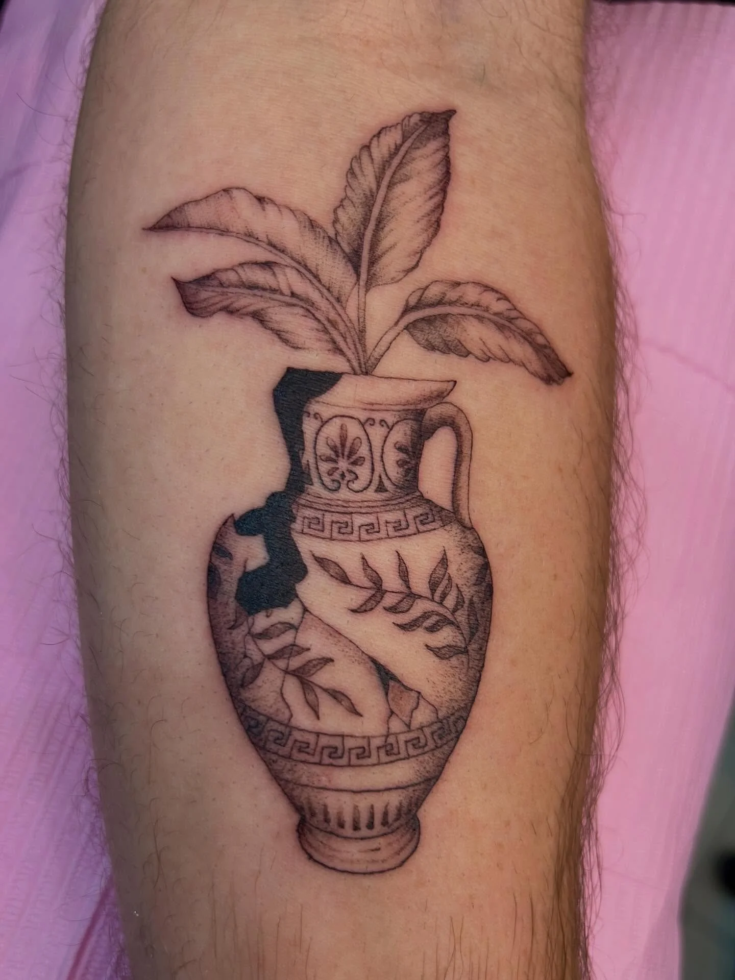 Soooo blessed to have added this for @lachlanwr1ght today. Thank you so much for making the trip and you trust 🫶🏼

By: @lilacjac.tattoos 
At: @squiresink 

#microrealism #vasetattoo #finelinetattoo #surfersparadise #surfersparadisetattoo #tattoo #t