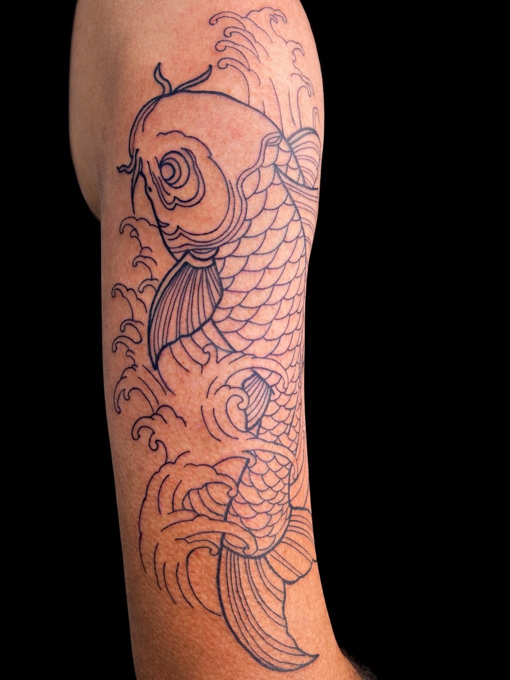 Koi tattoo with clean lines 🇯🇵