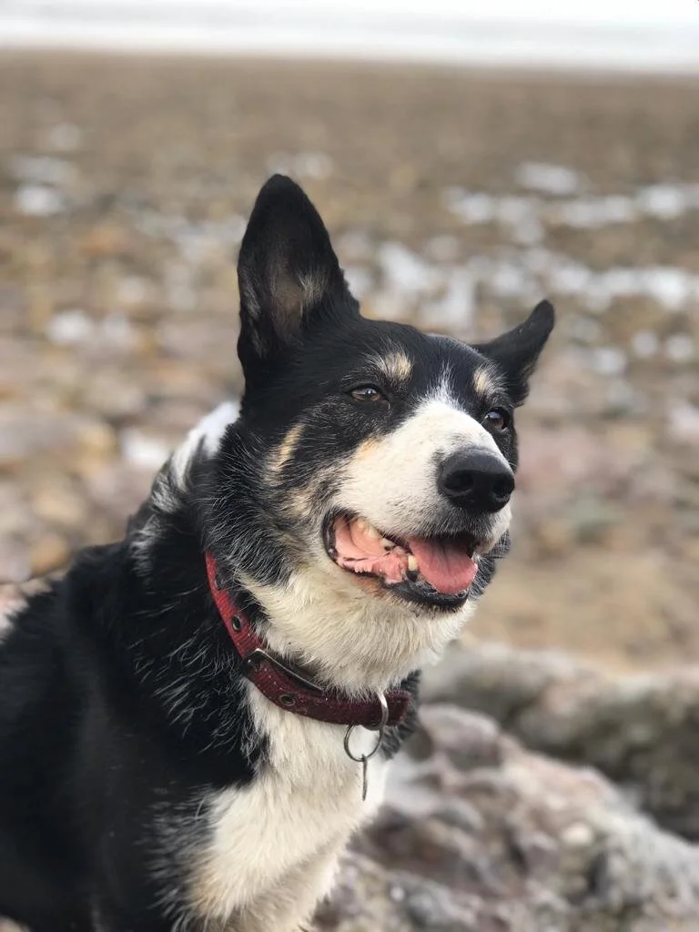 Meet the Community: Tess