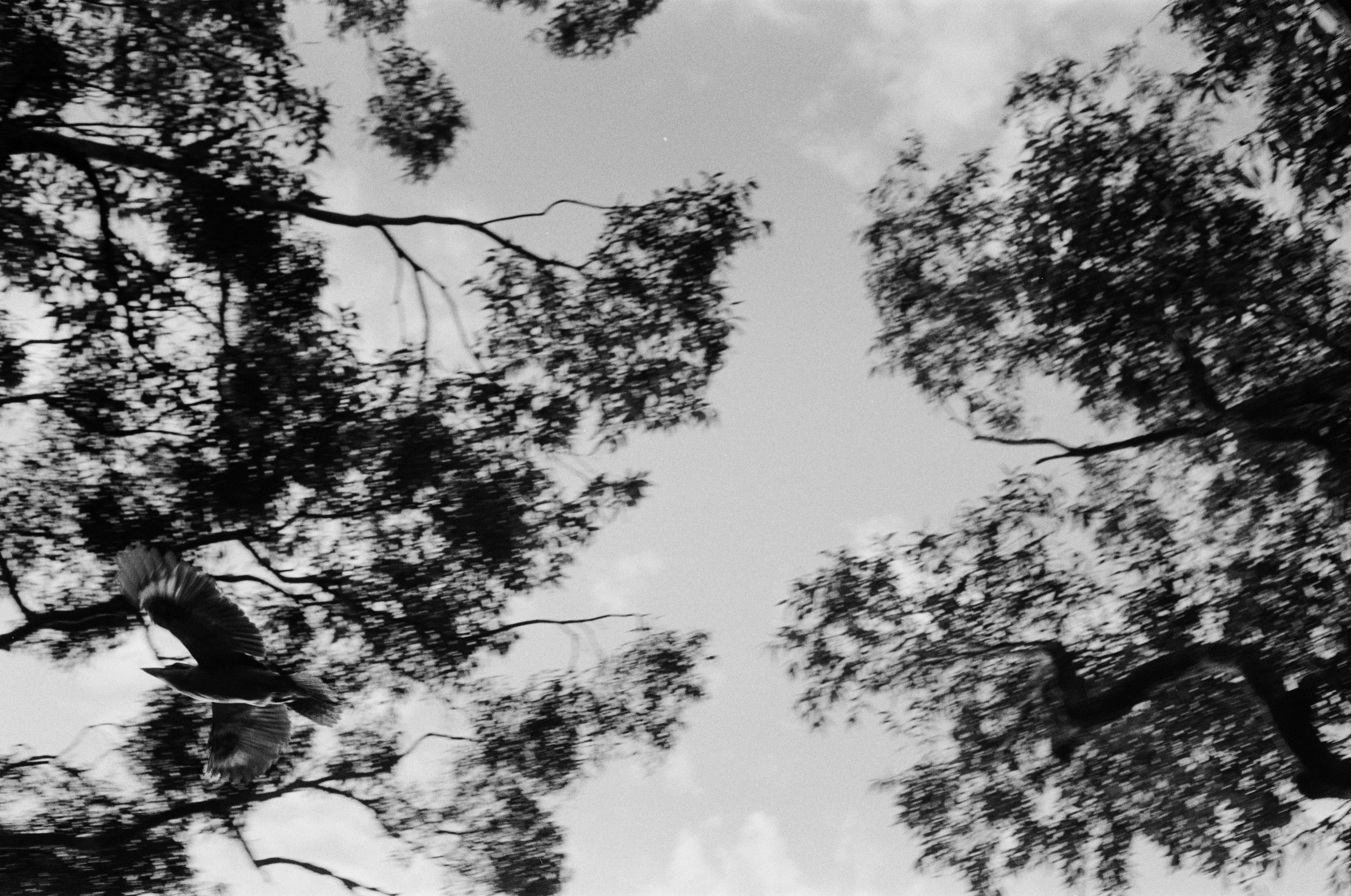 Bundeena: ‘noise like thunder’