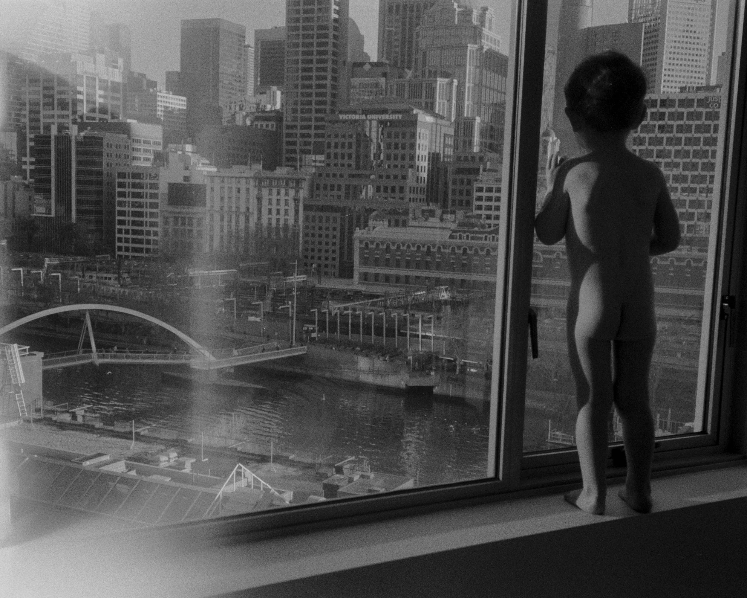 Alfie in the Window Melbourne-1.jpg