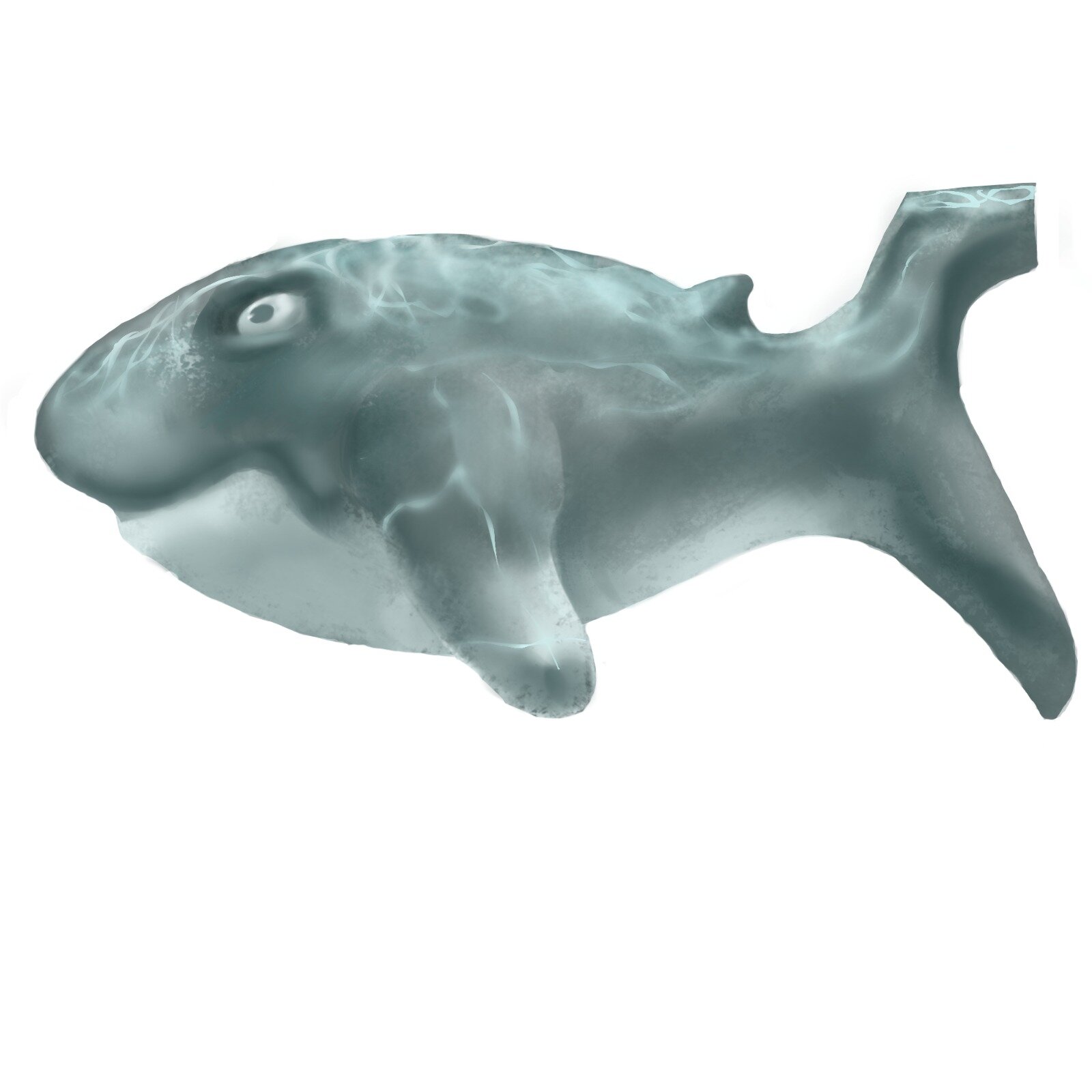 Shark 02.jpg