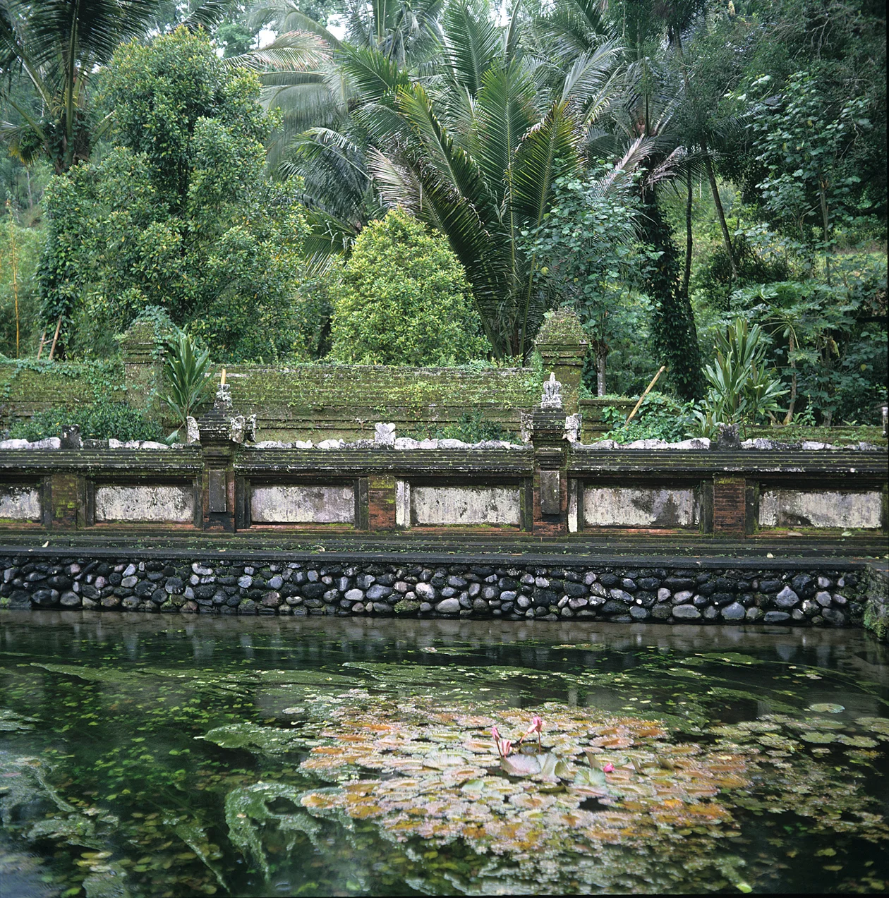 Sanctuary -Tirta Empul, Bali.jpg