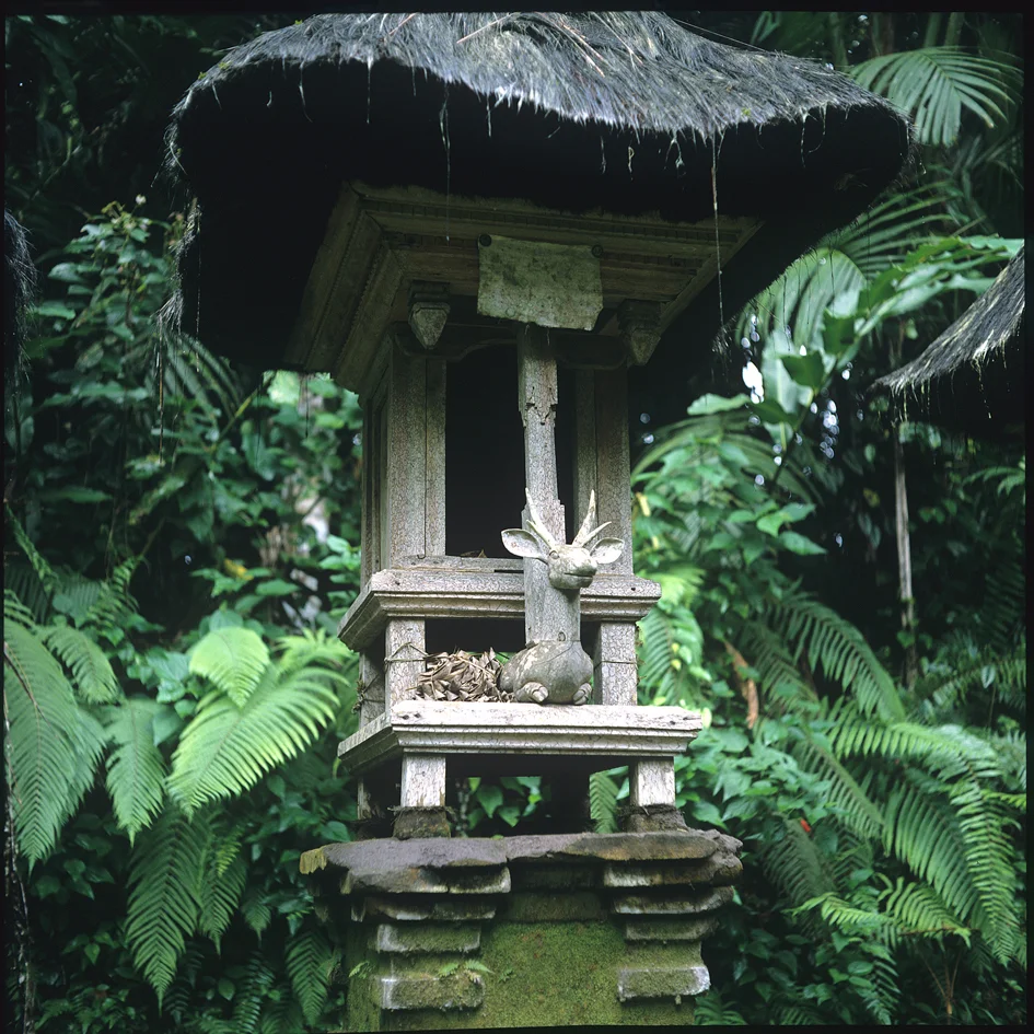 Sanctuary- Balinese temple deer altar.jpg