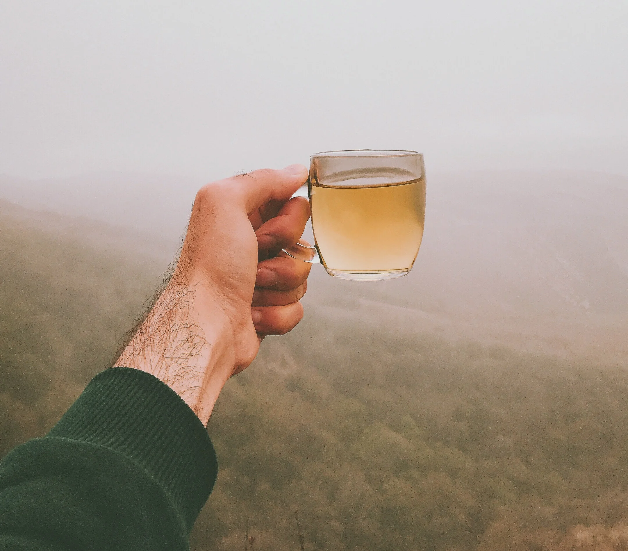 foad-roshan-CIMBg21YUrk-unsplash2.jpg