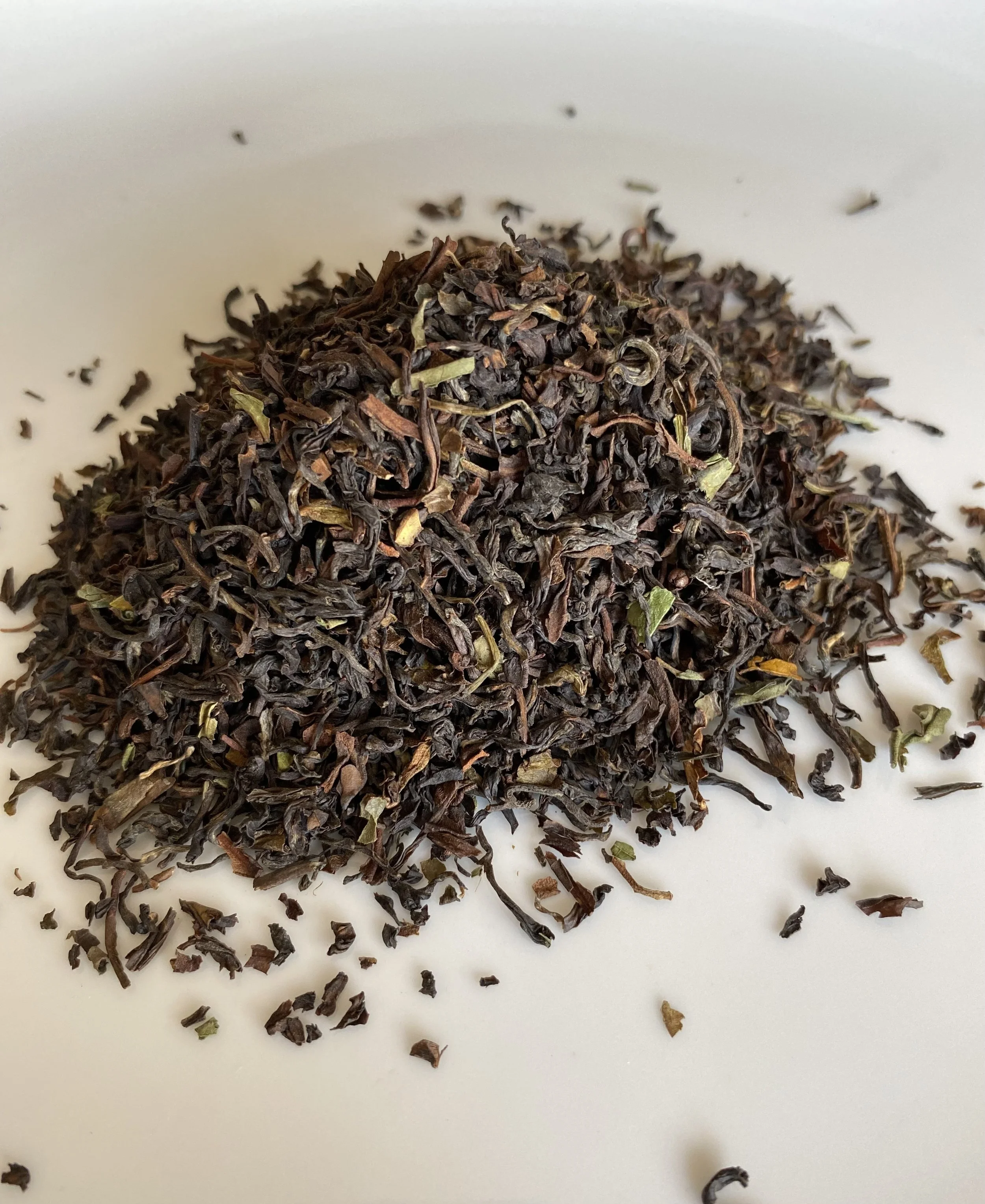 DARJEELING 2 Cos..jpg