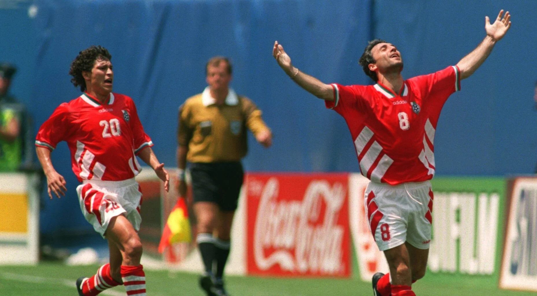 Diga 33 - A edição final