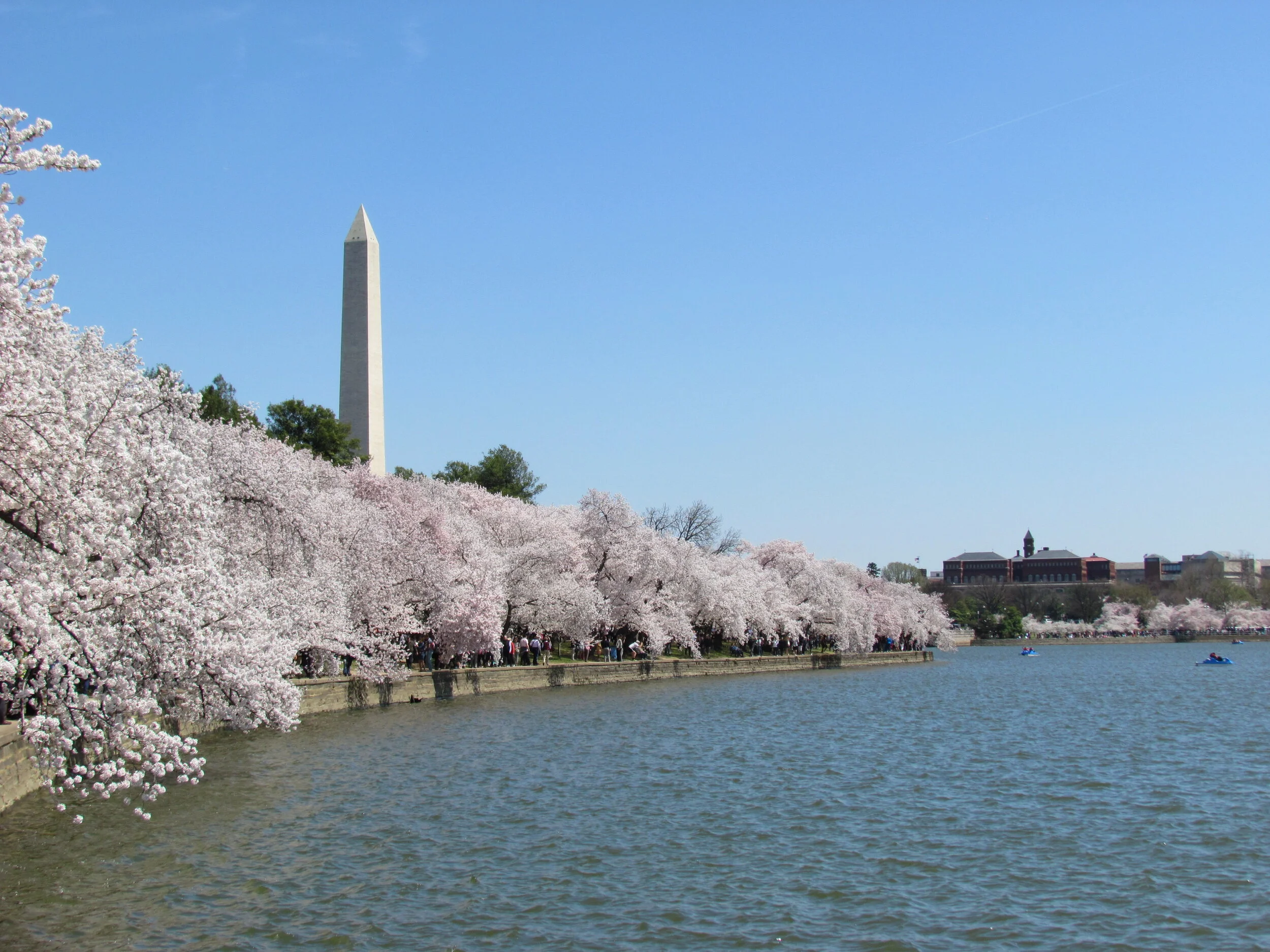 Perguntas fraturantes sobre viagens
