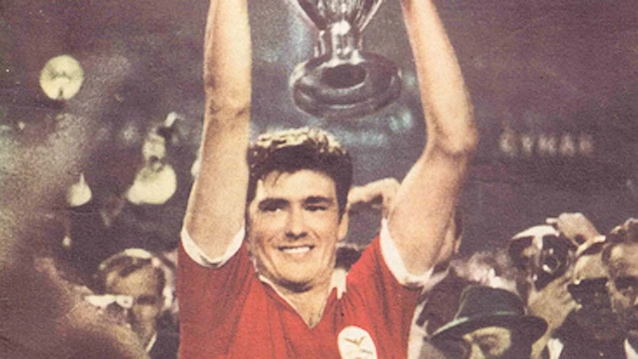 Footbhall of Fame #11 - Benfica dos anos 60