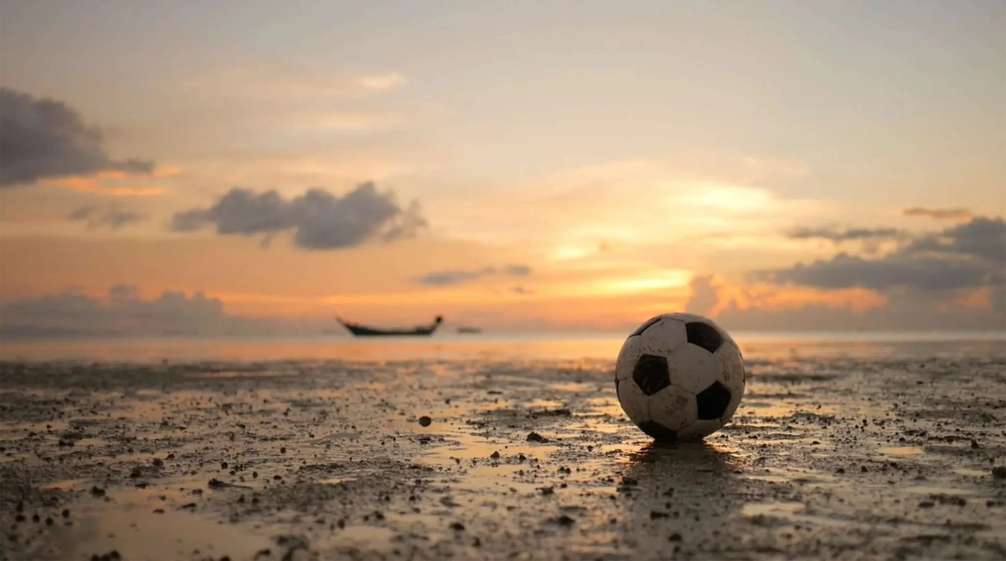 Cartão de Adepto #9 - Nuno Aguiar