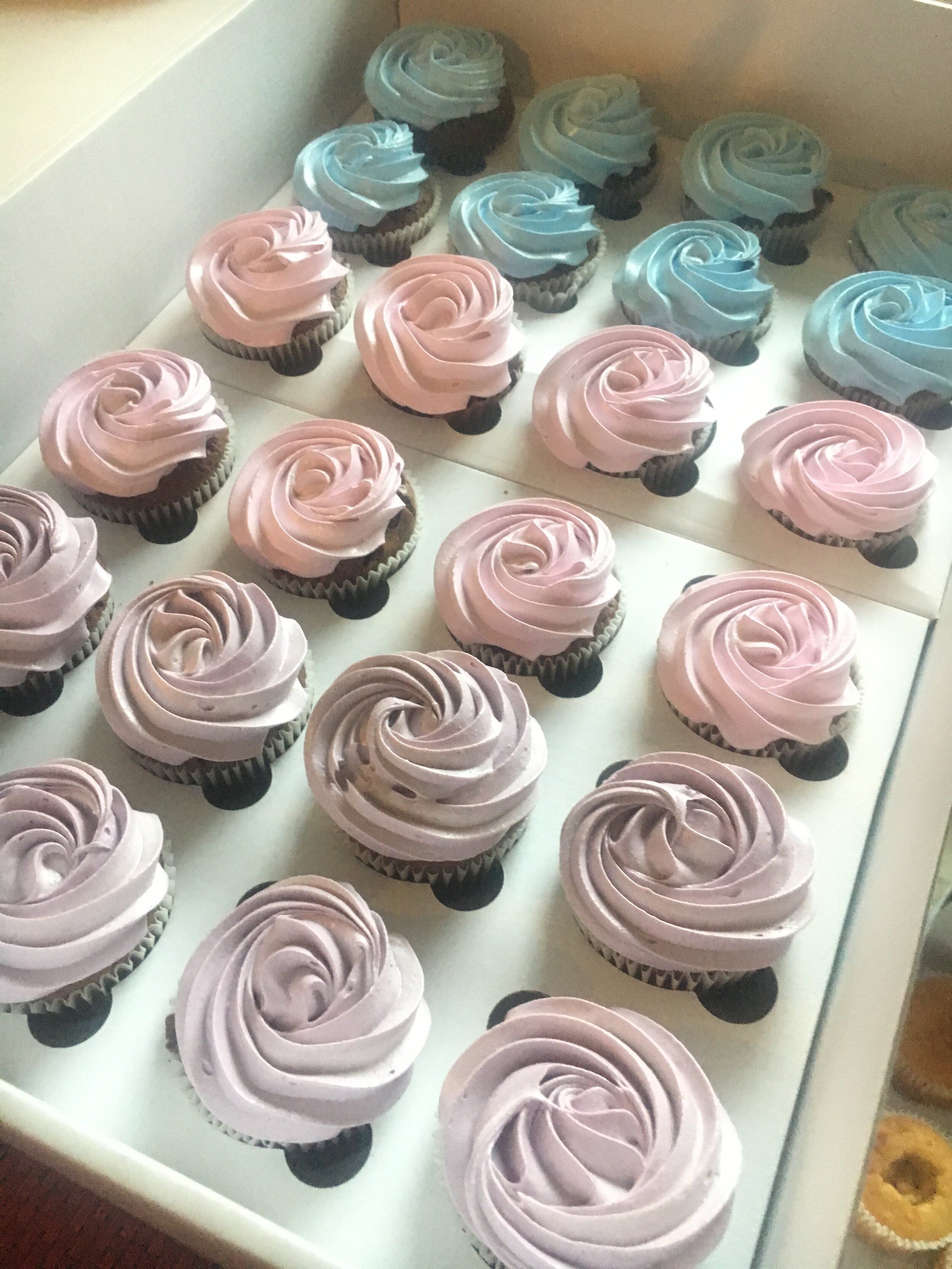 4D48D300-46CF-4B3A-A1AF-752BC0CAECCB