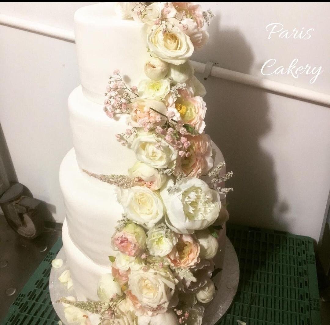 C2D8D911-3C2E-48F8-8F08-41BD8EC00F5E