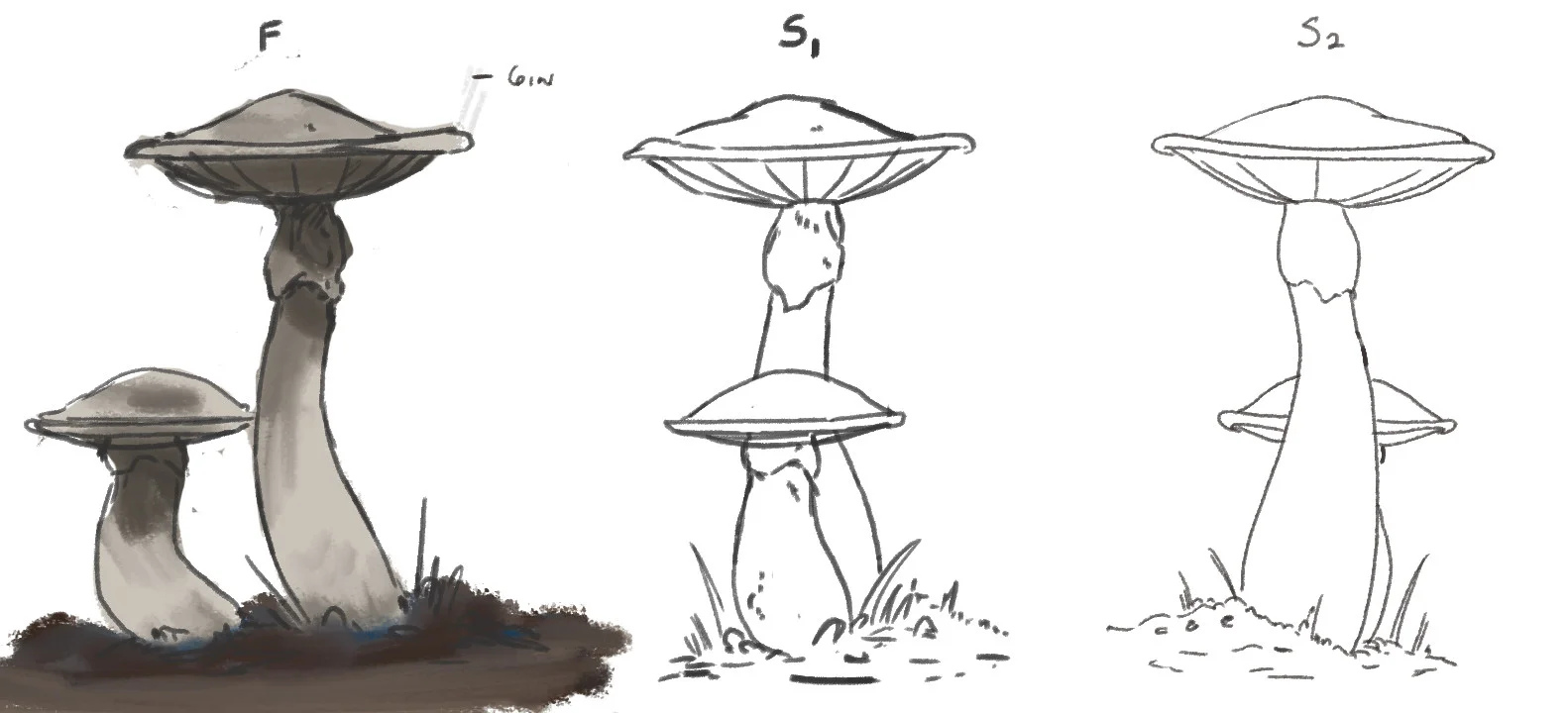 ethan-yazel-fungus-01-turn.jpg