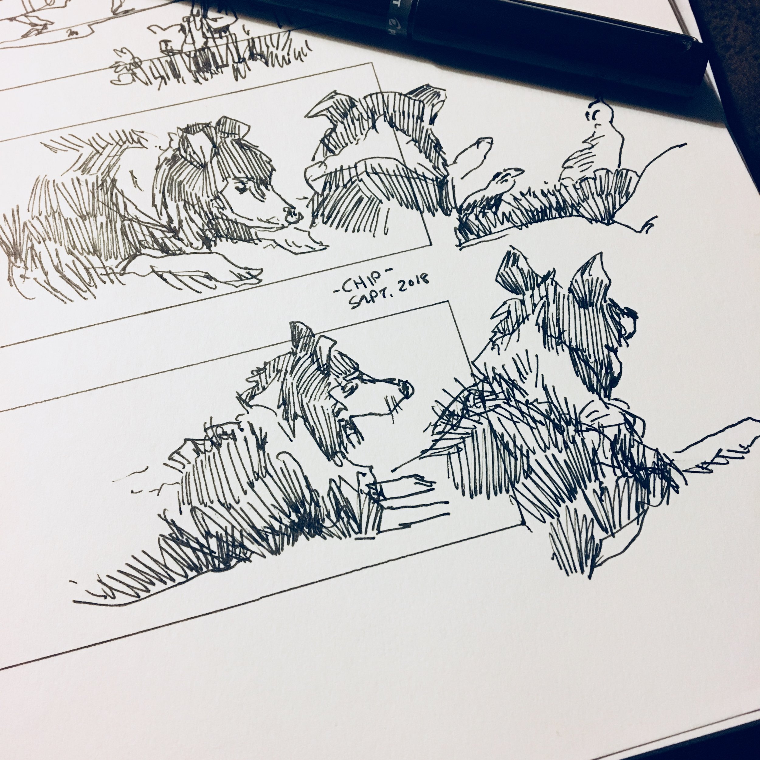 Sketchbook_2018_Chip_WC_007.jpg