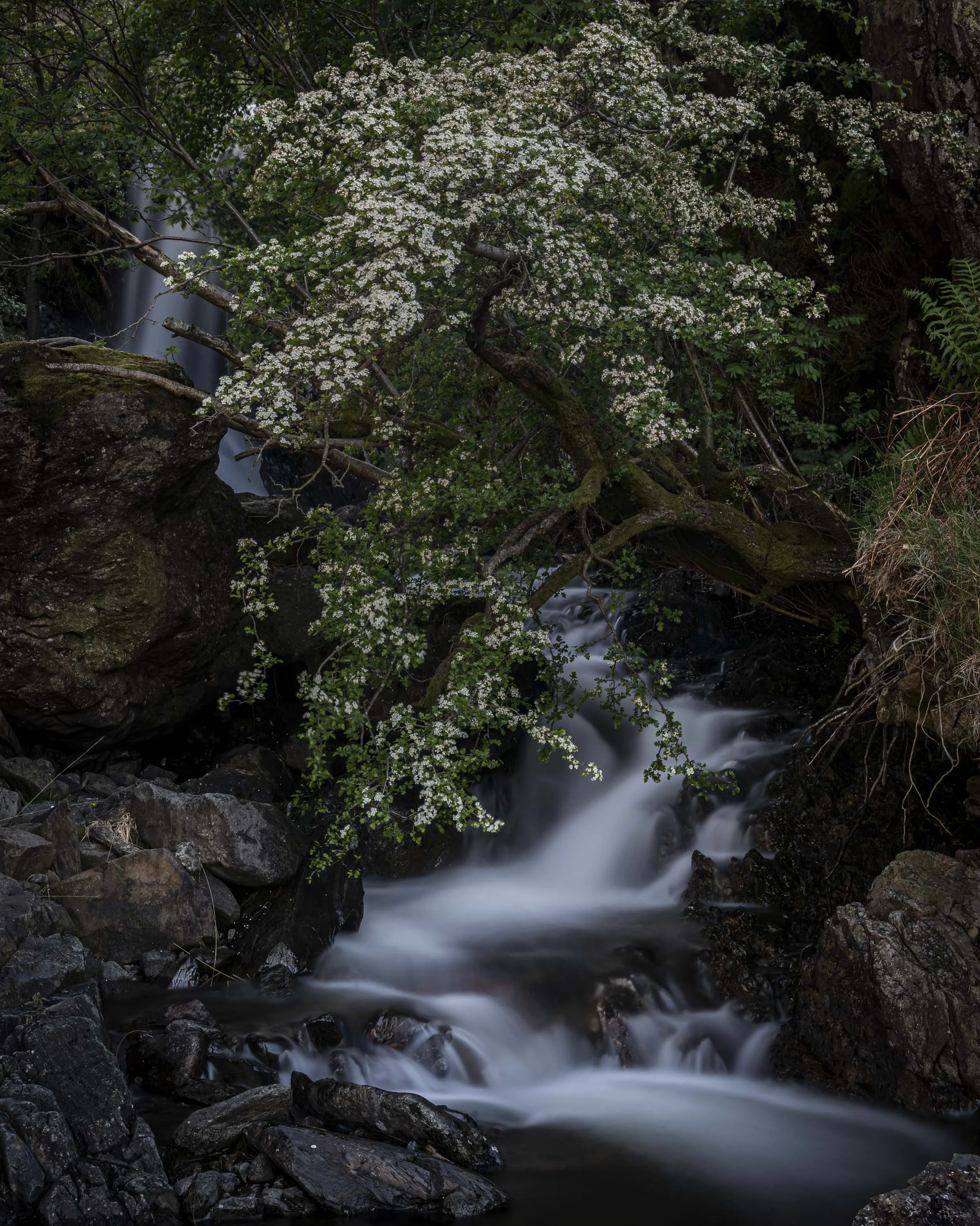 untitled-6405.jpg
