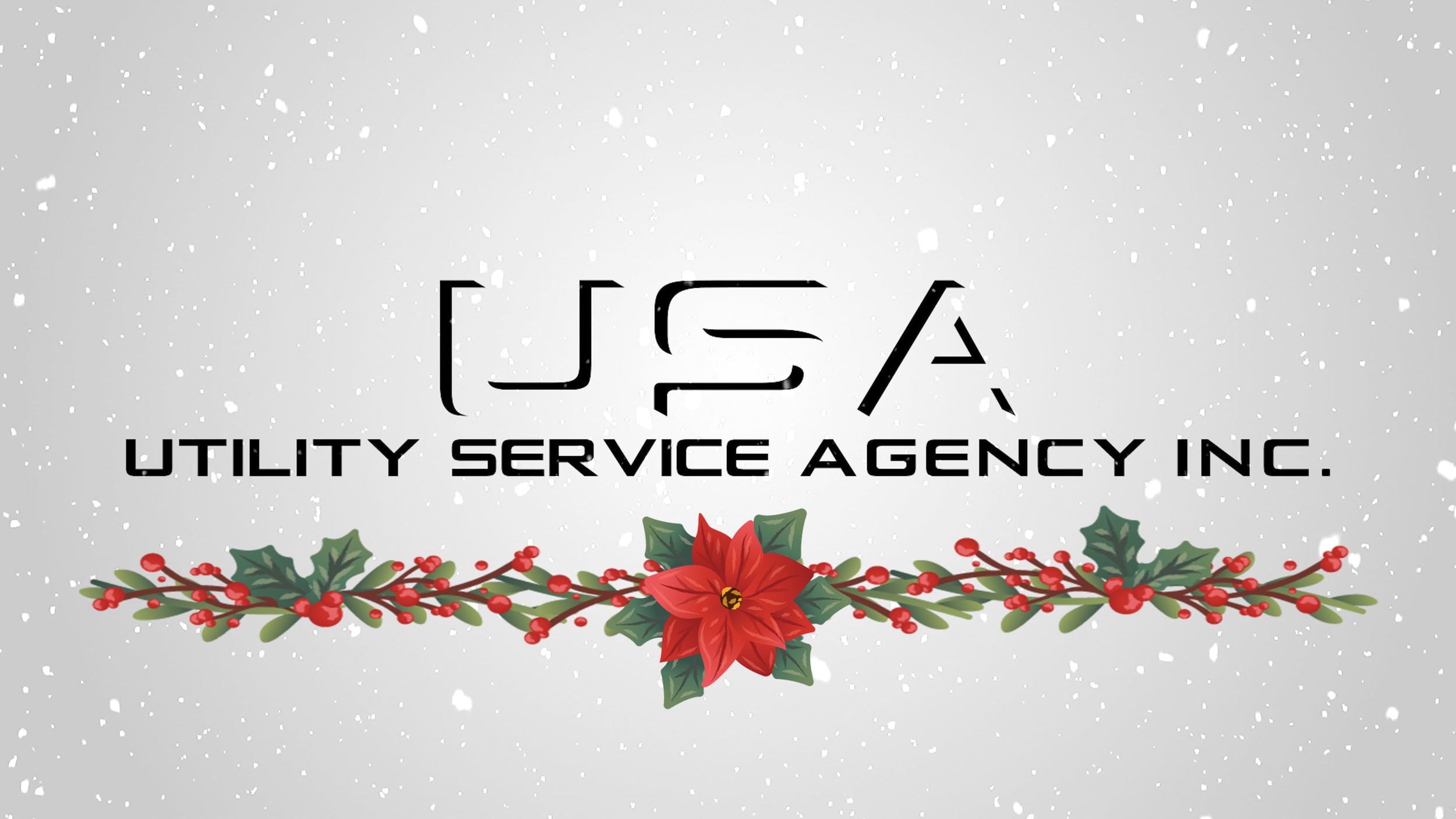 Happy Holidays from USA!