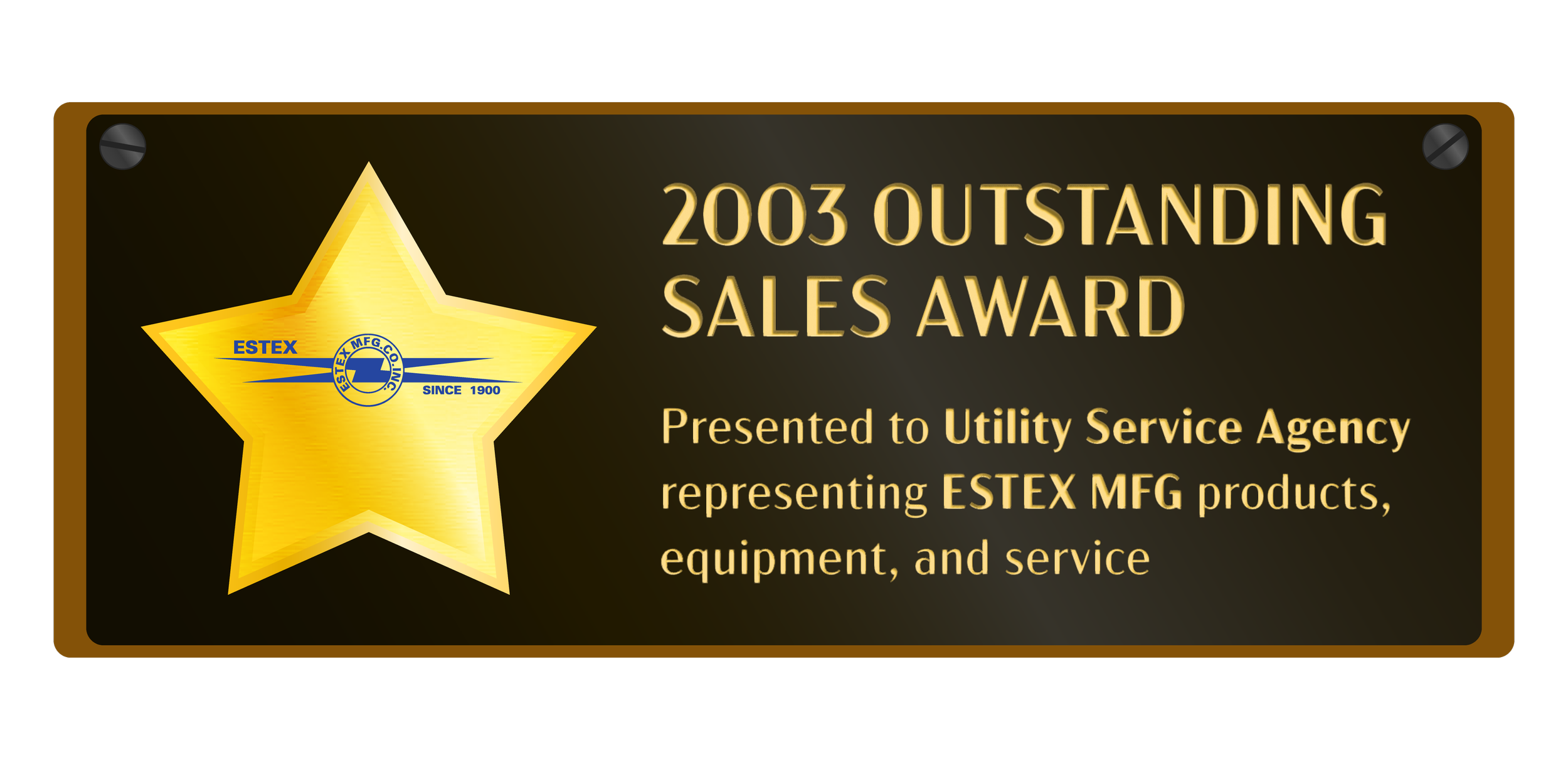 Awards designs_ESTEX 2003 Oustanding sales.png