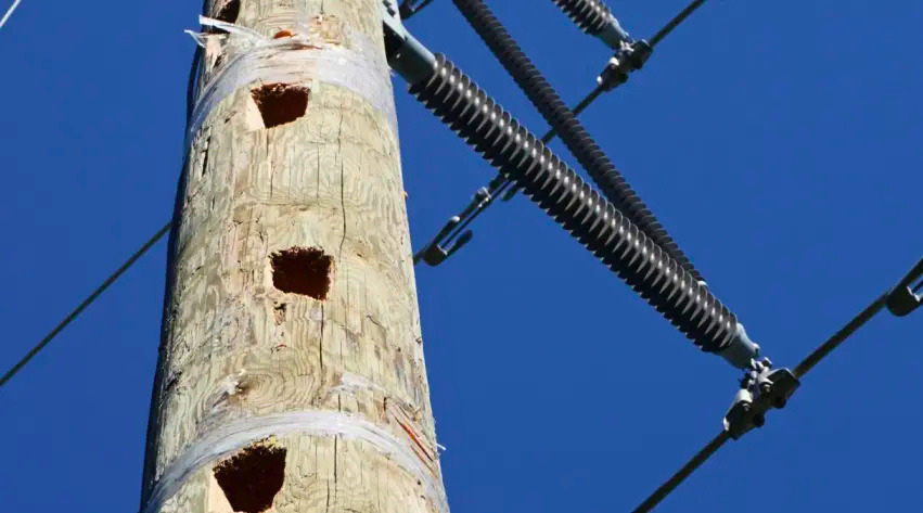 A wooden utility pole with visible damage