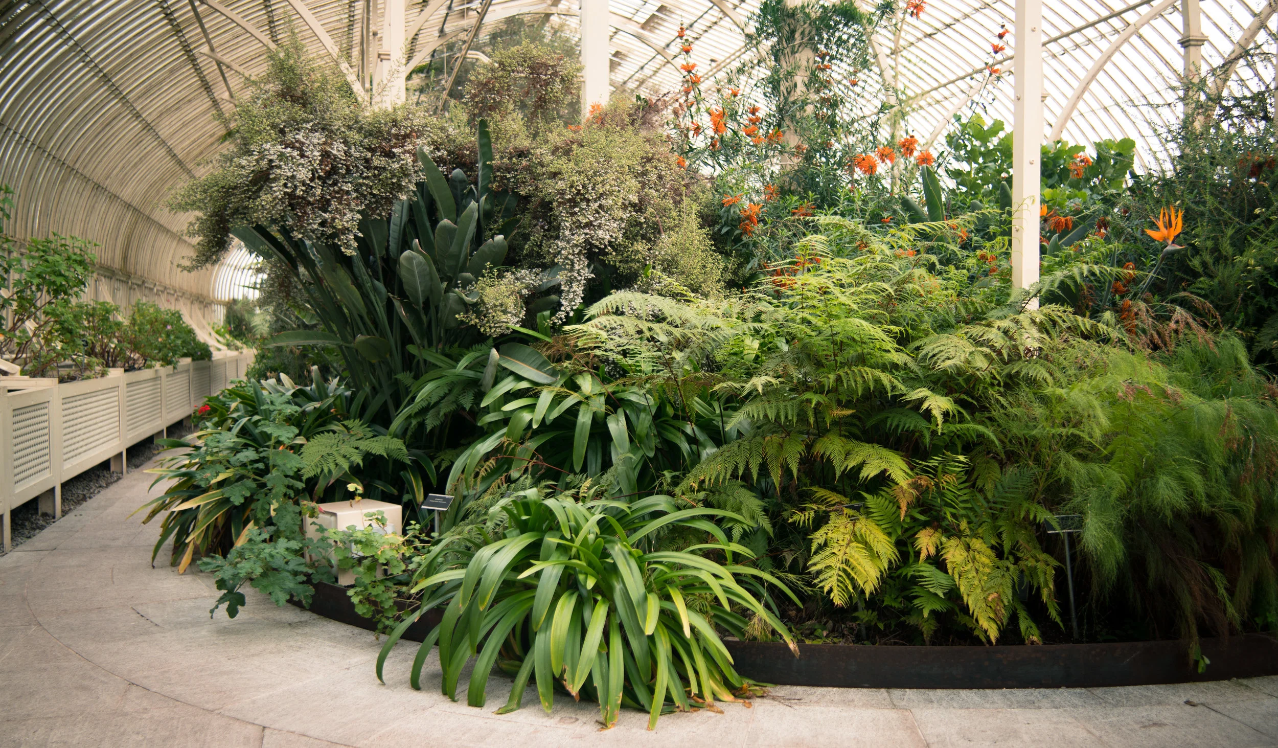 Greenery