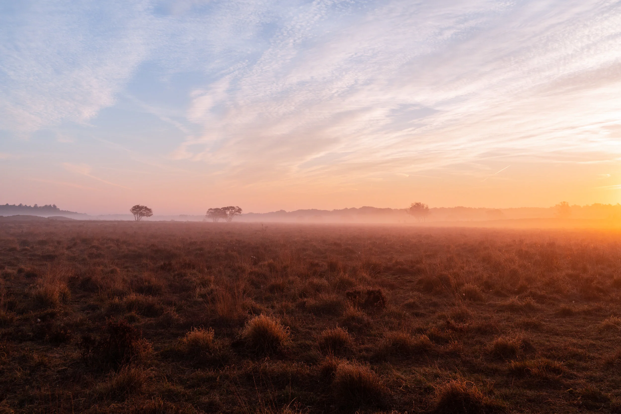 Sunrise