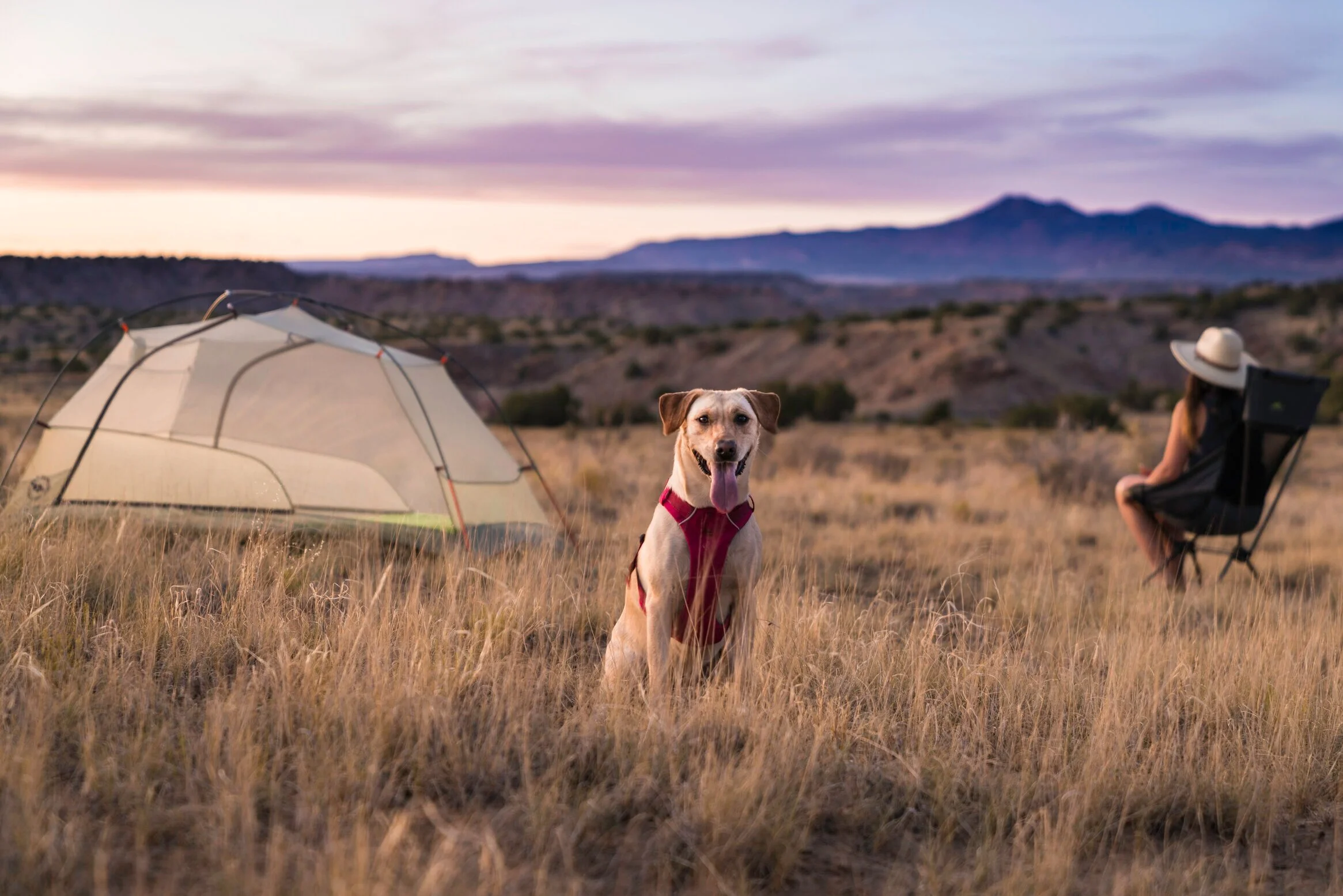 AdventurePortfolio_72DPI-9.jpg