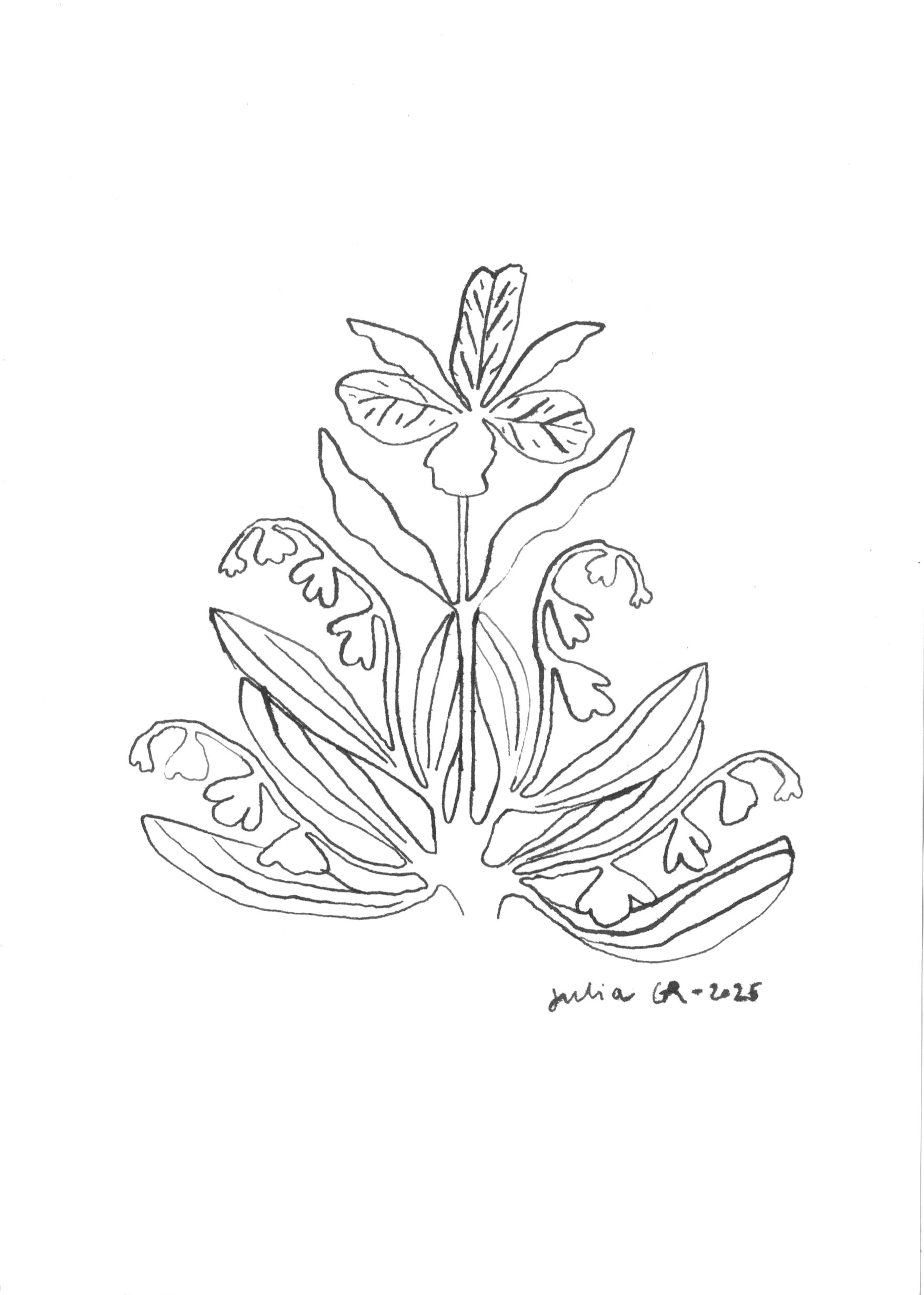 Iris2.jpg