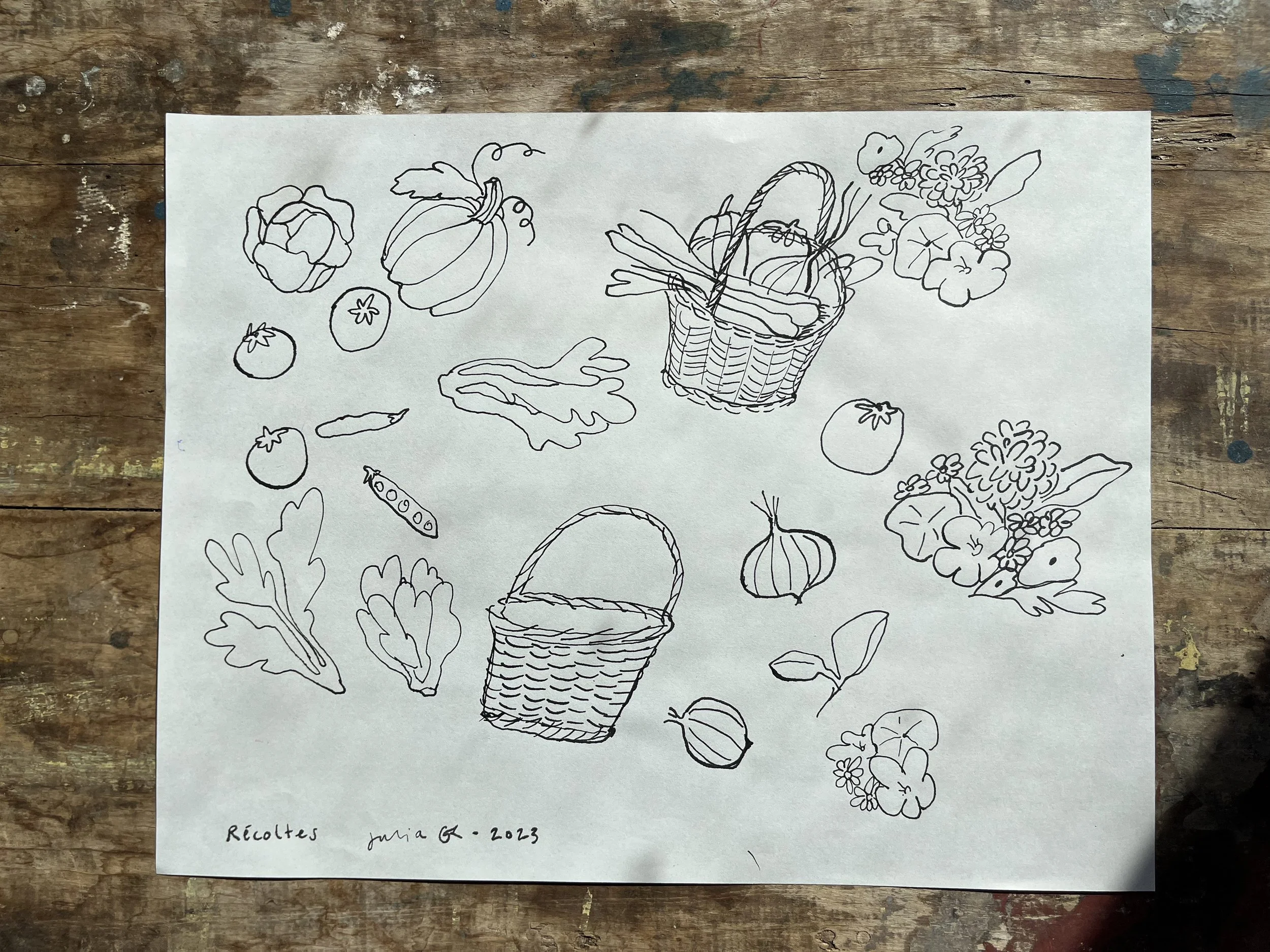 JuliaGR-Recoltes-02.jpg