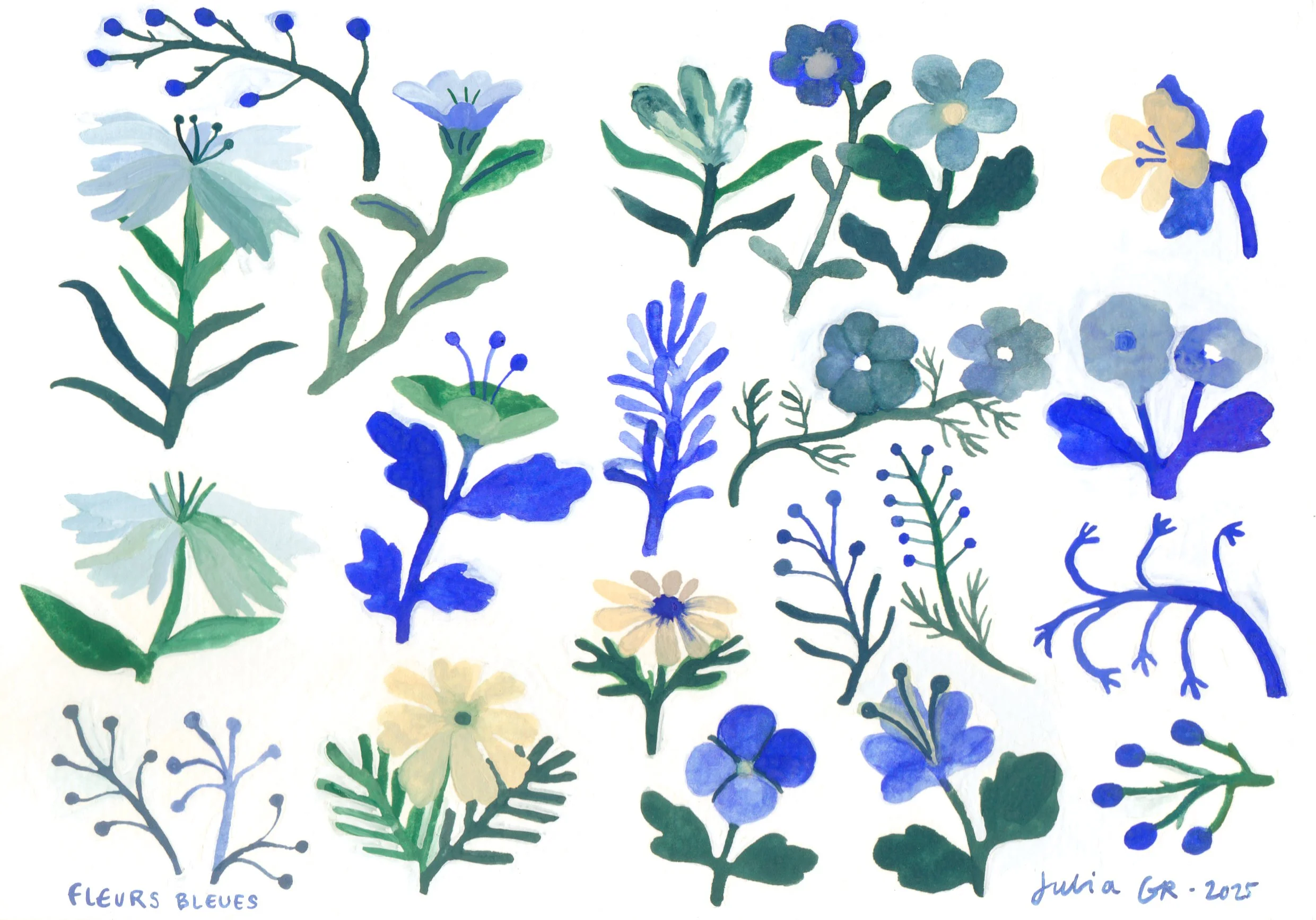 Fleursbleues.jpg