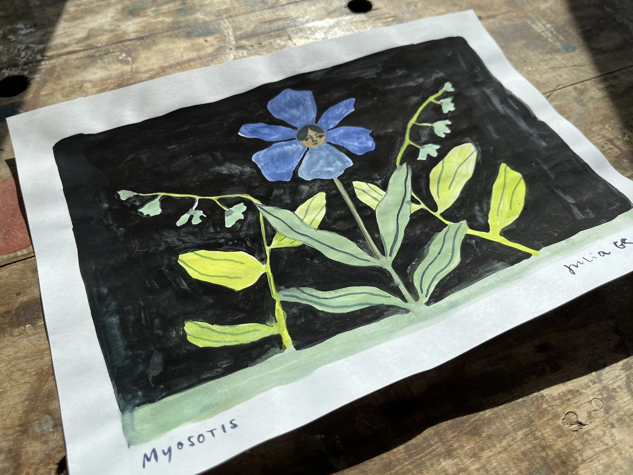 JuliaGR-Myosotis-02.jpg