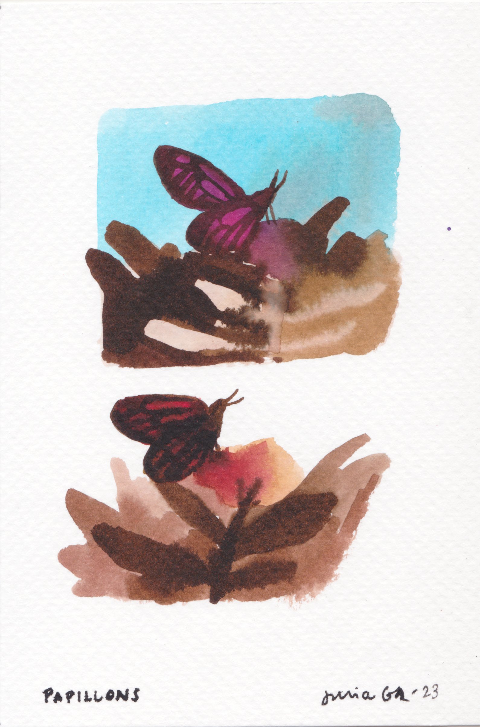 Papillons.jpg